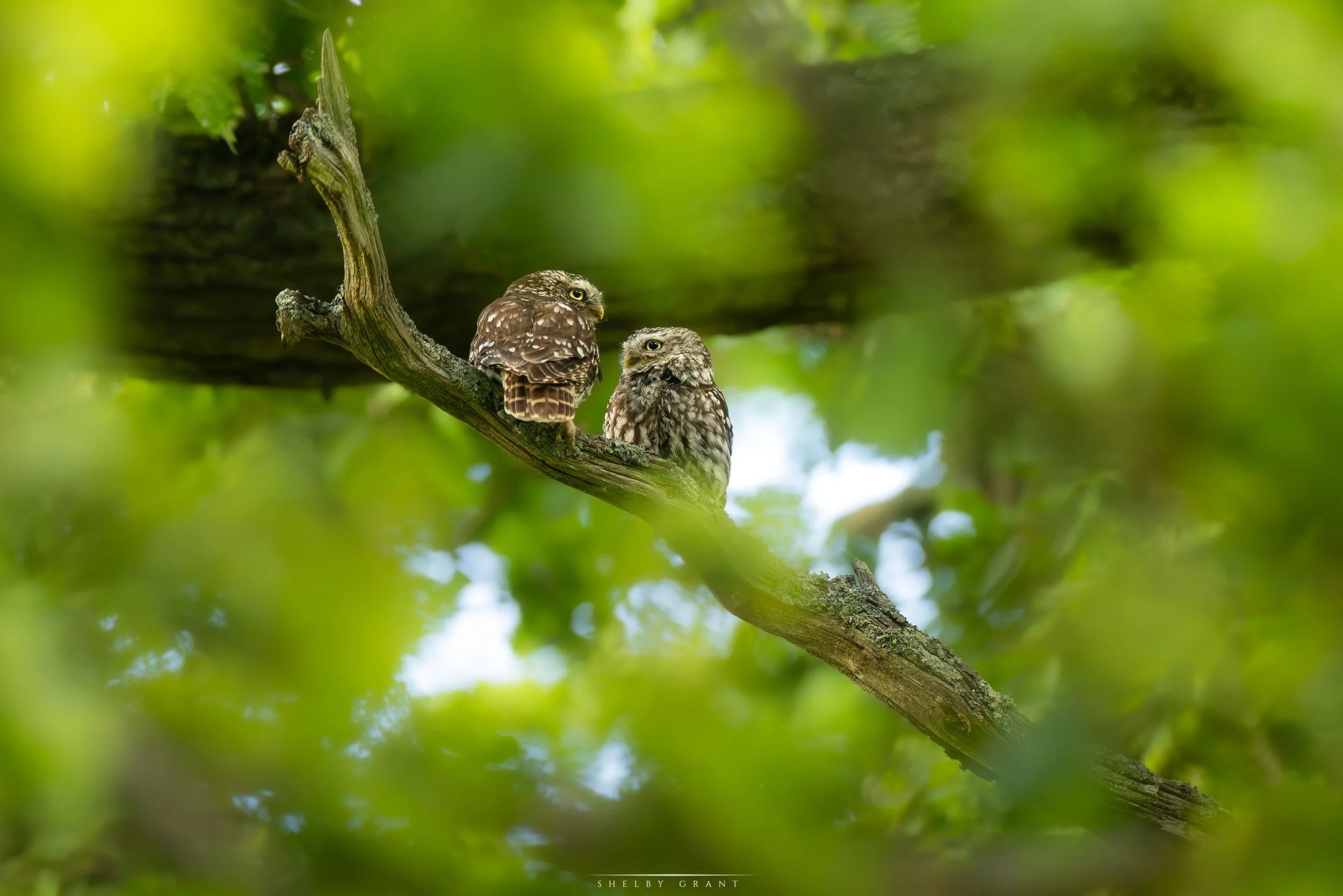 071A3604-Edit.jpg