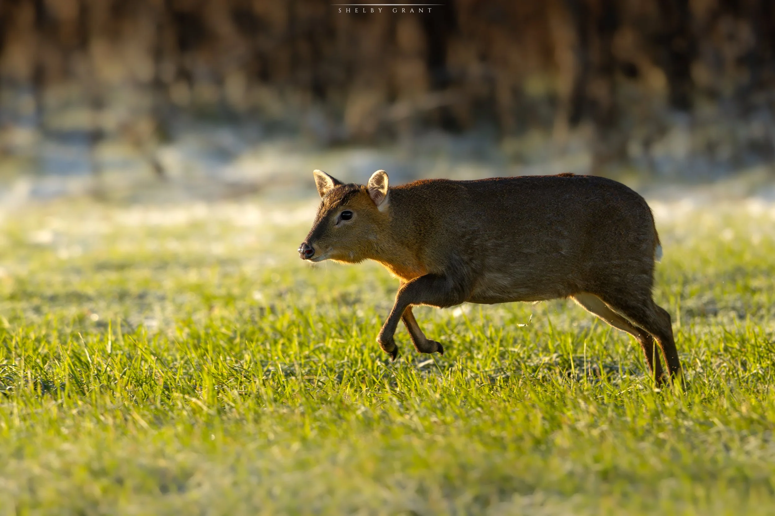 _M4A5145-Edit.jpg