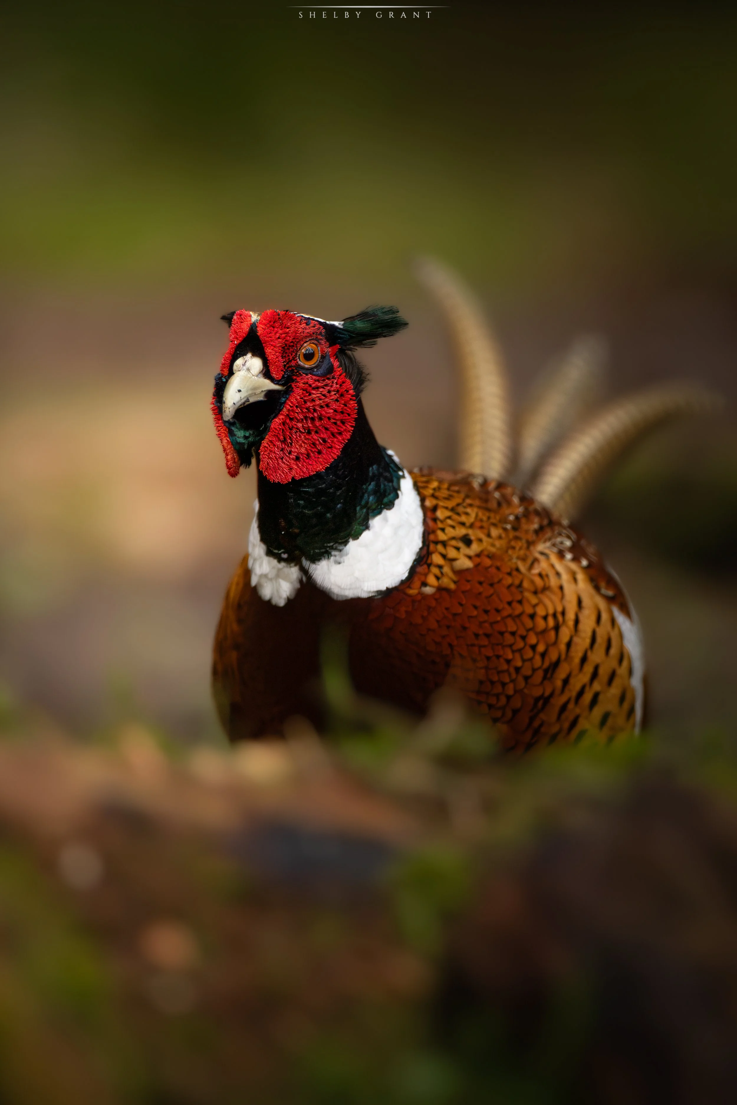 071A8347-Edit.jpg
