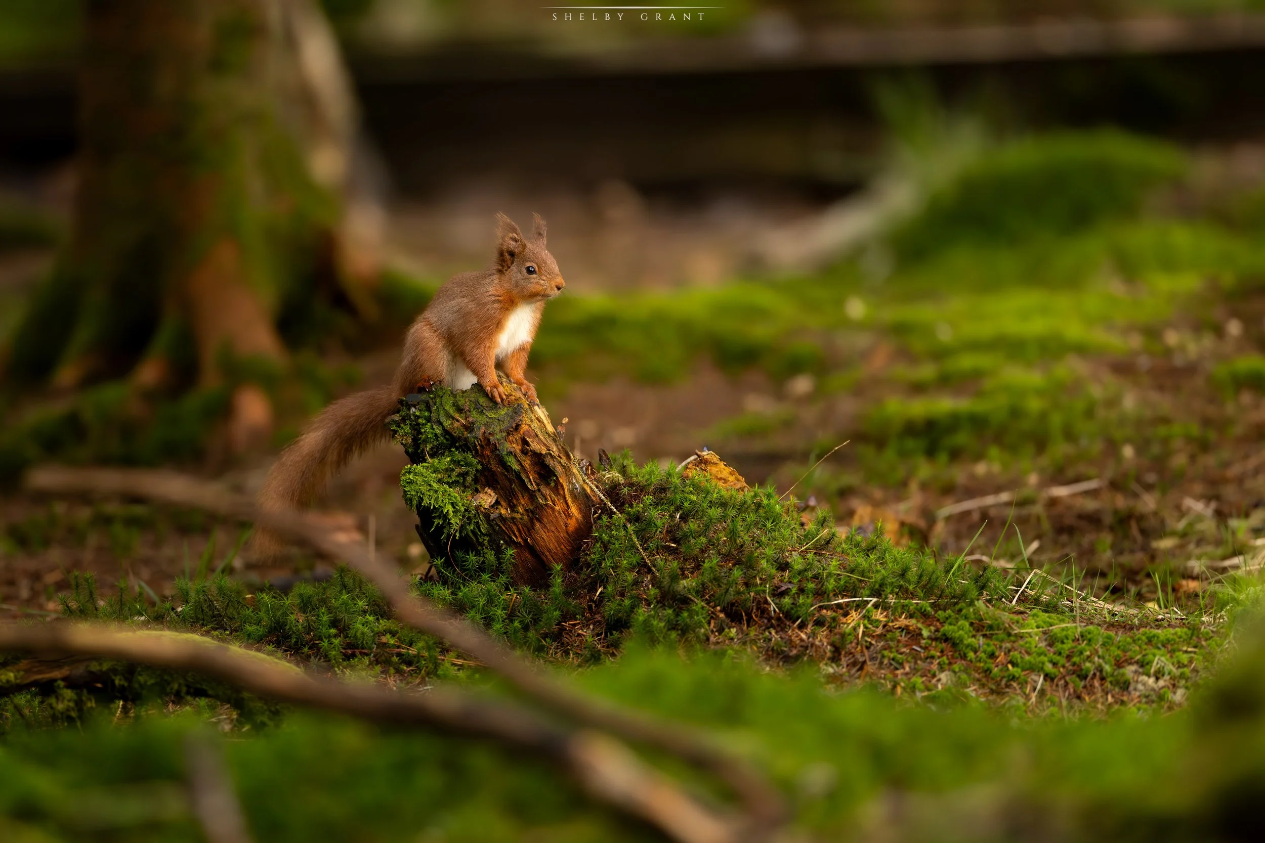 071A7719-Edit-2.jpg