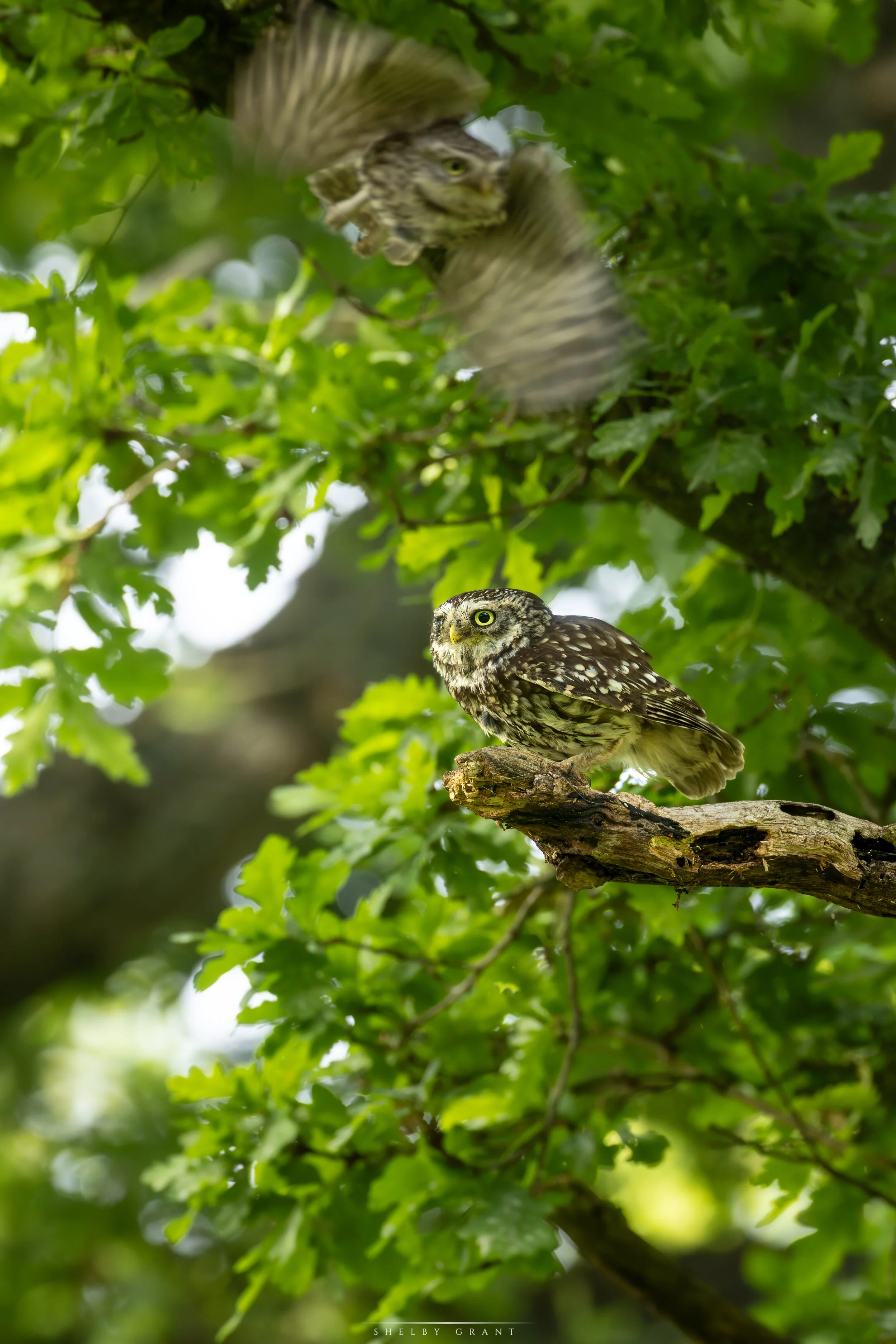 071A3933-Edit.jpg