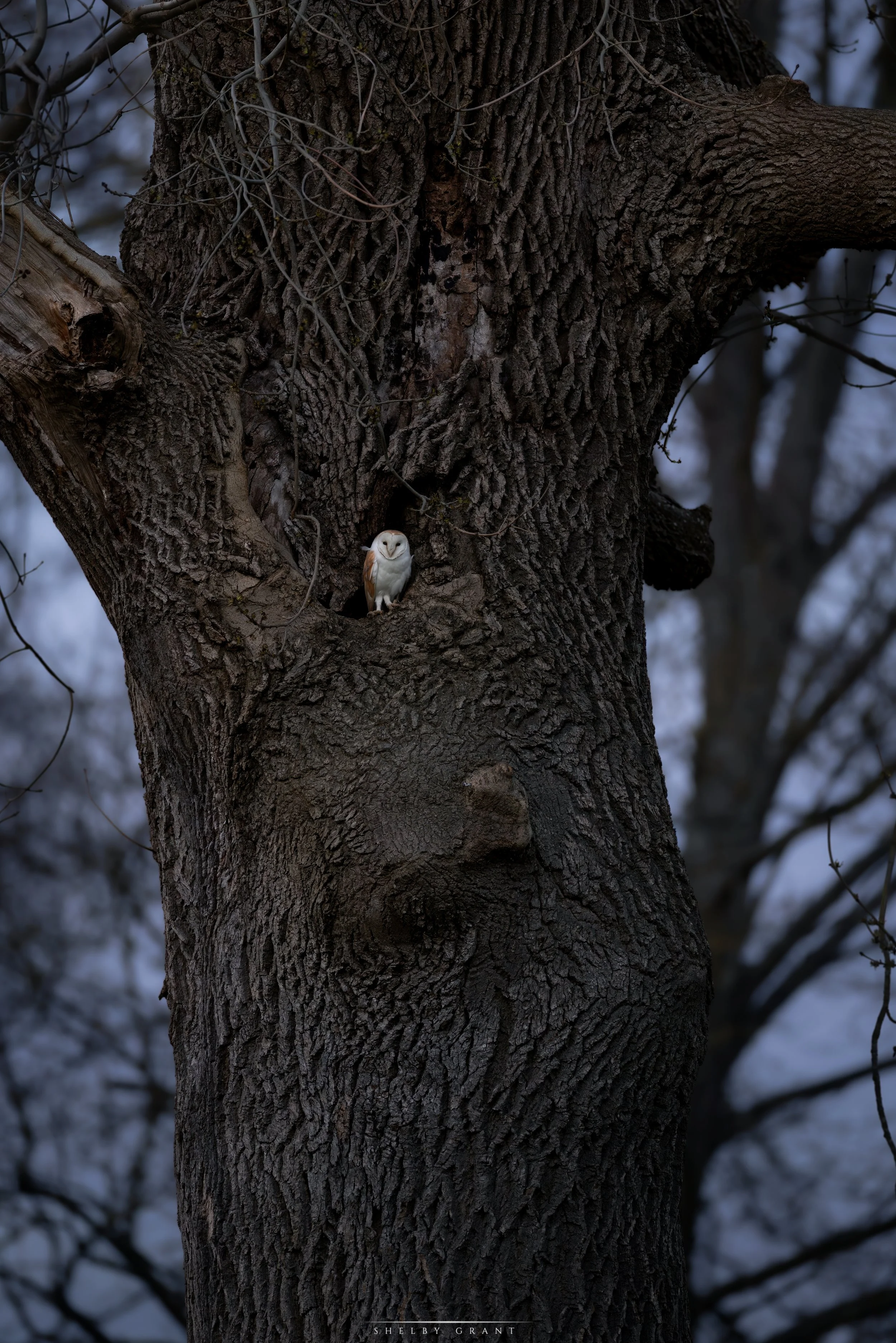 071A0089-Edit.jpg