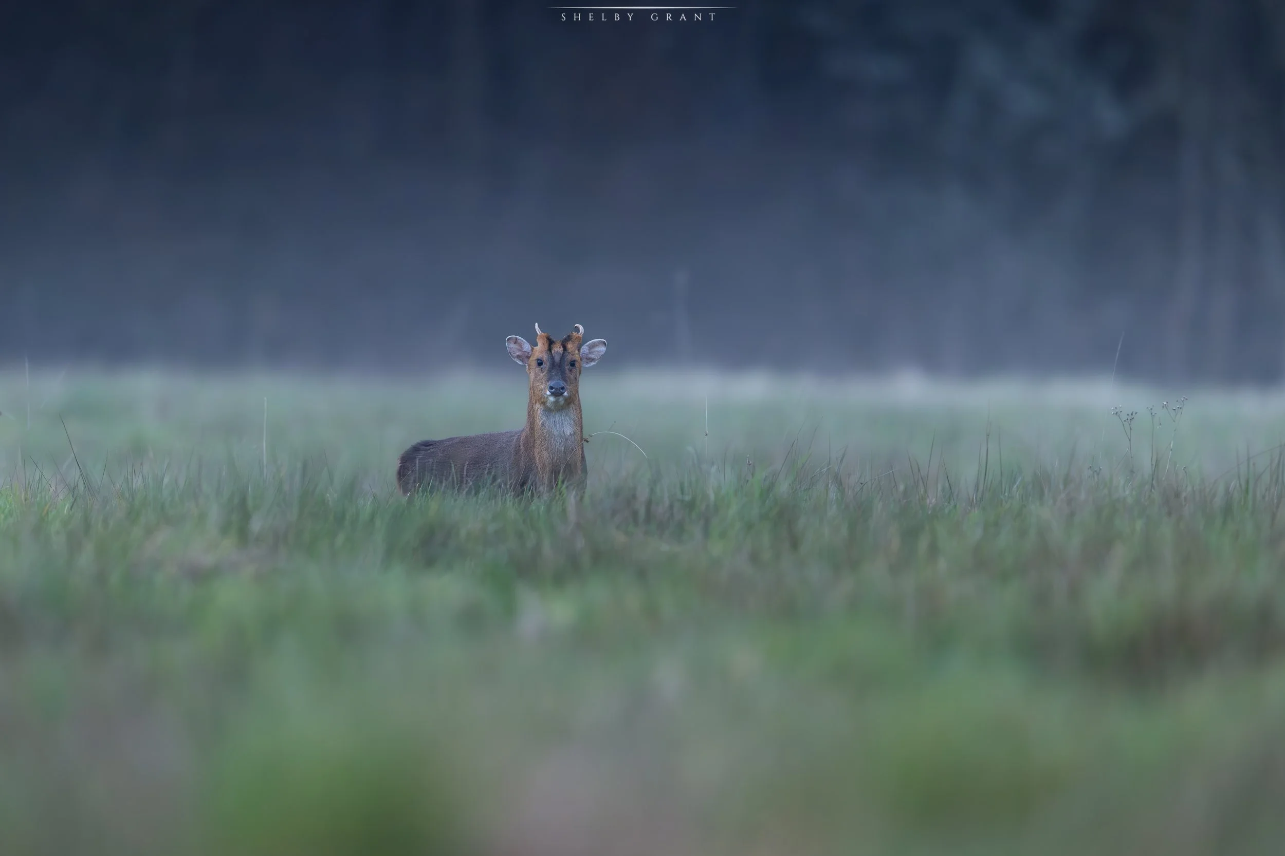 071A7881-Edit.jpg