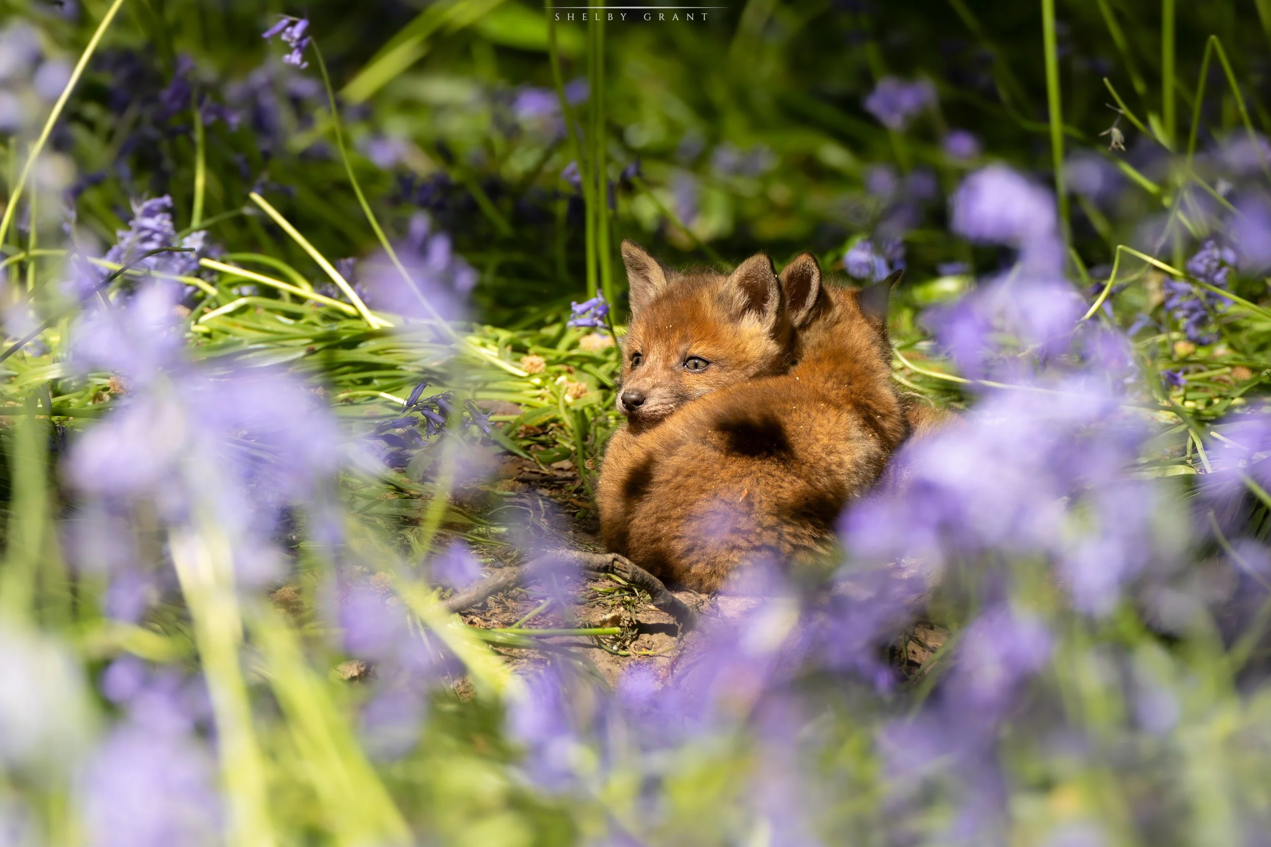 071A5090-Edit.jpg