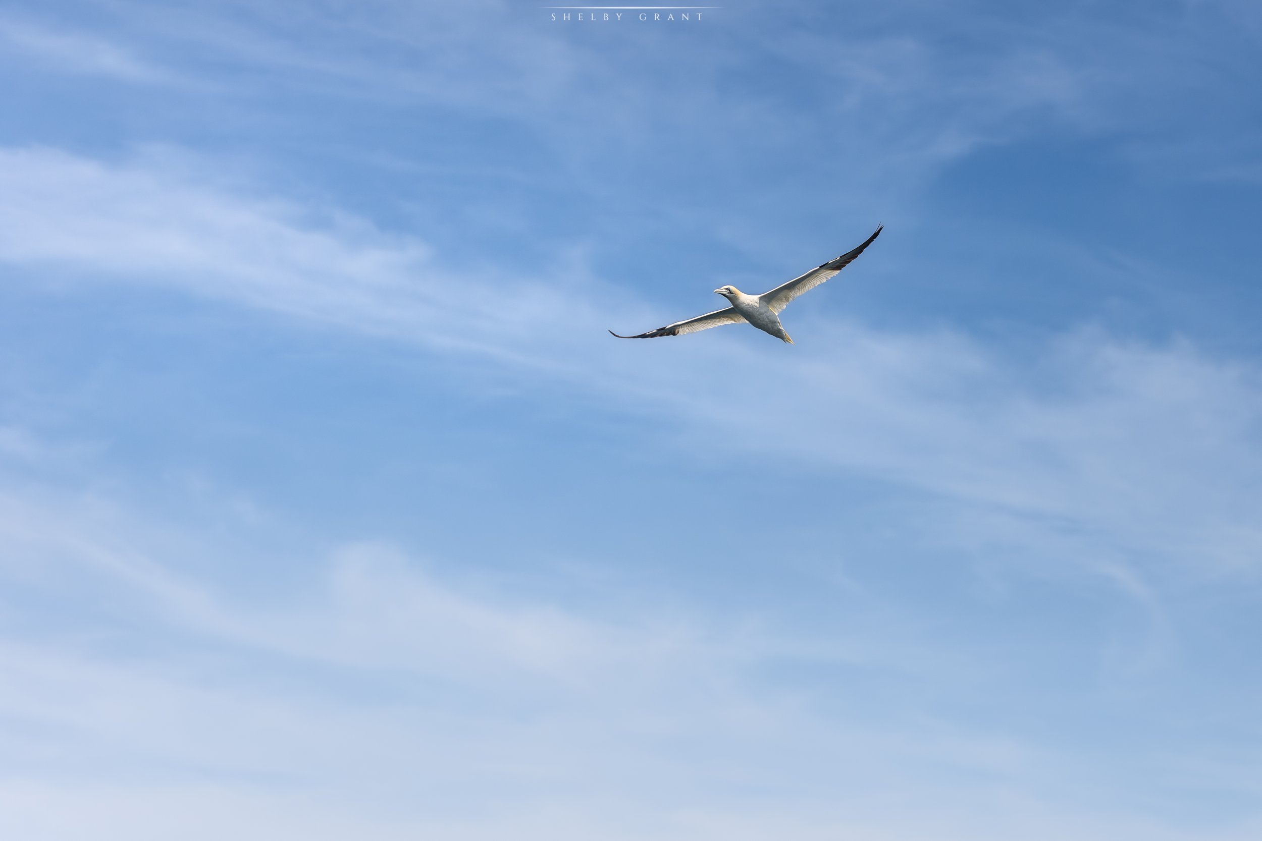 071A7407.jpg