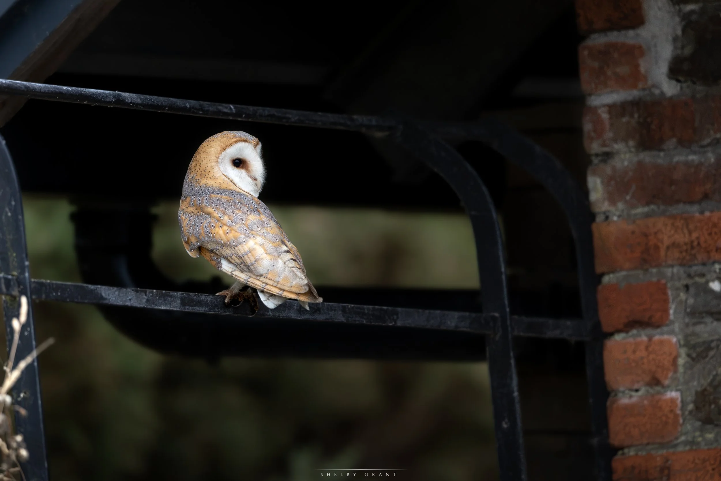 071A7802-Edit.jpg