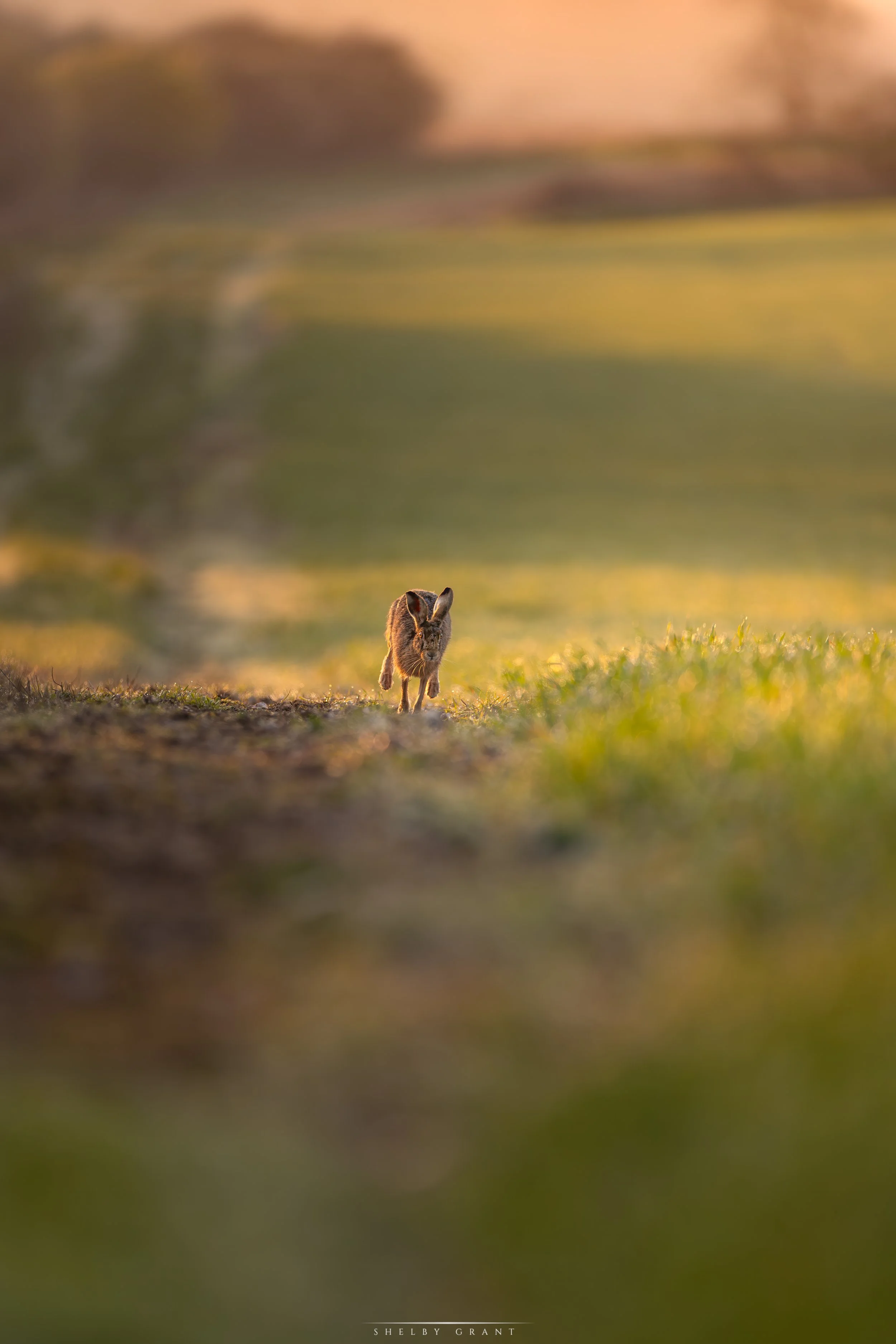 071A8540-Edit.jpg