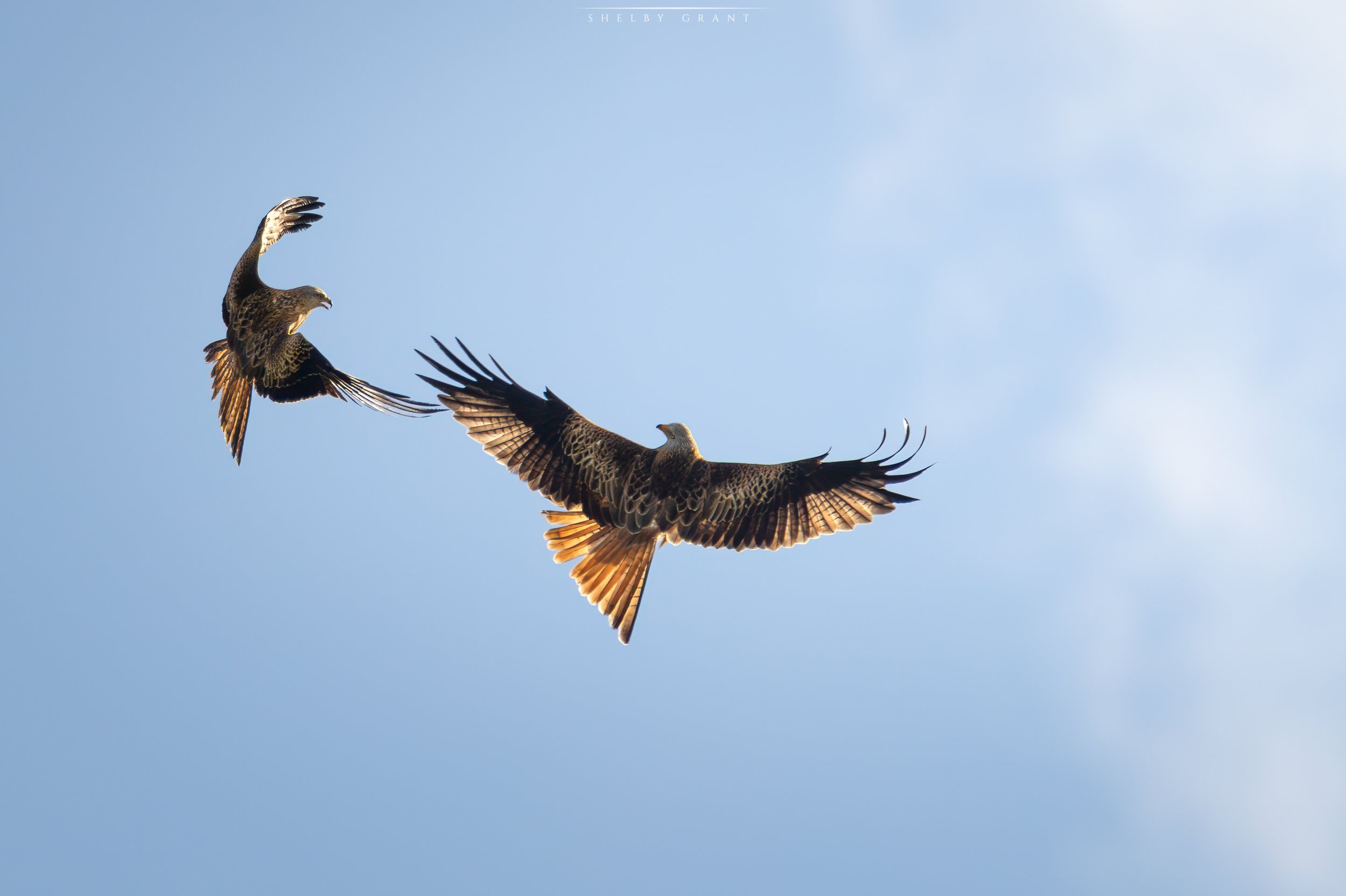 071A9996-Edit.jpg