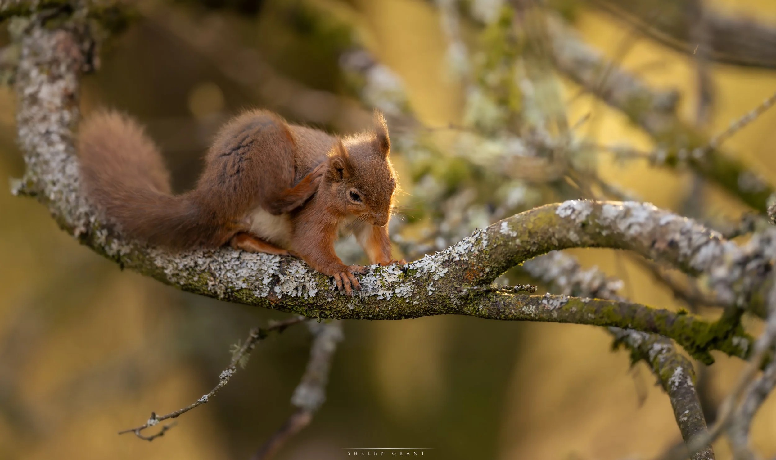 071A7863-Edit.jpg