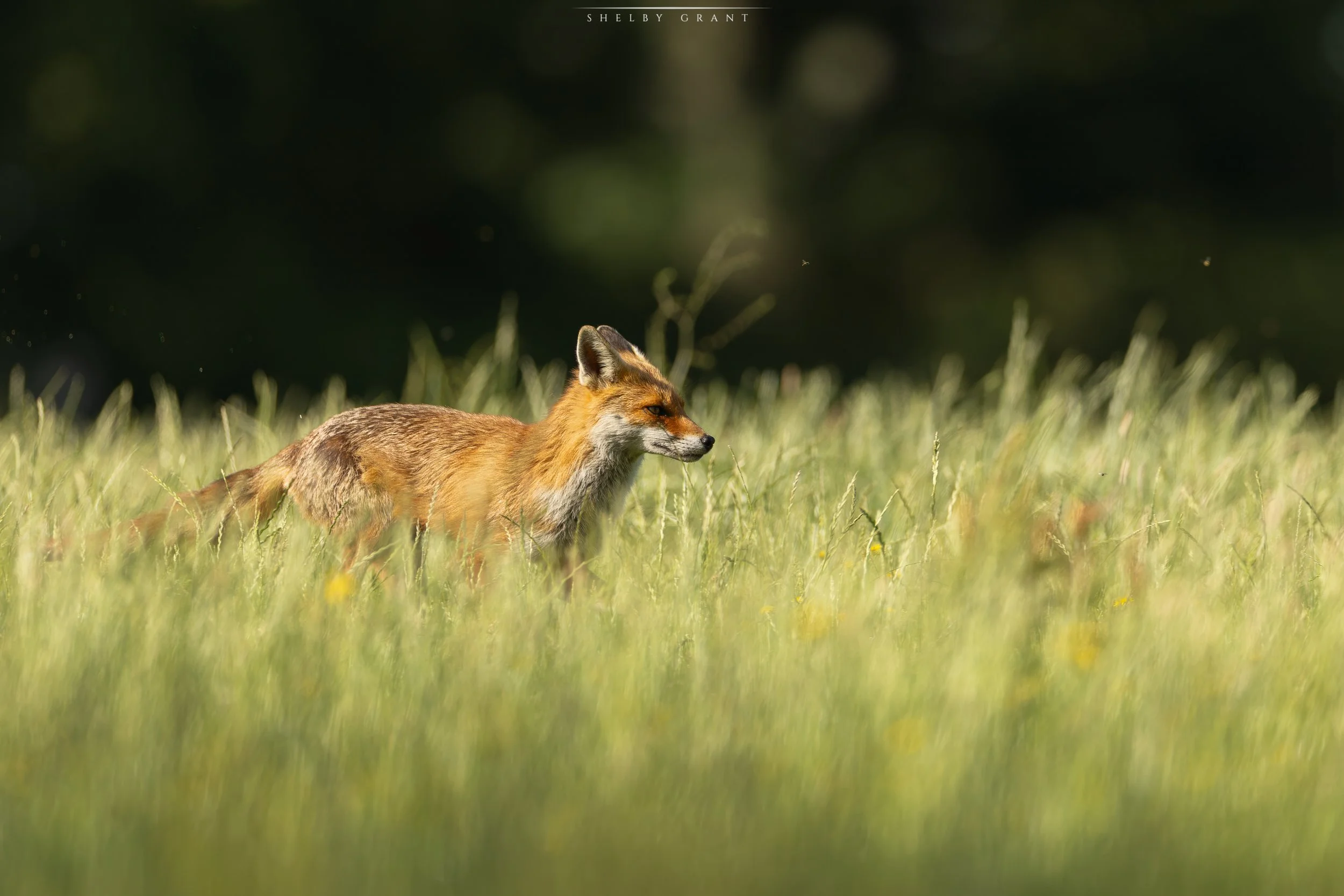 071A5824-Edit.jpg