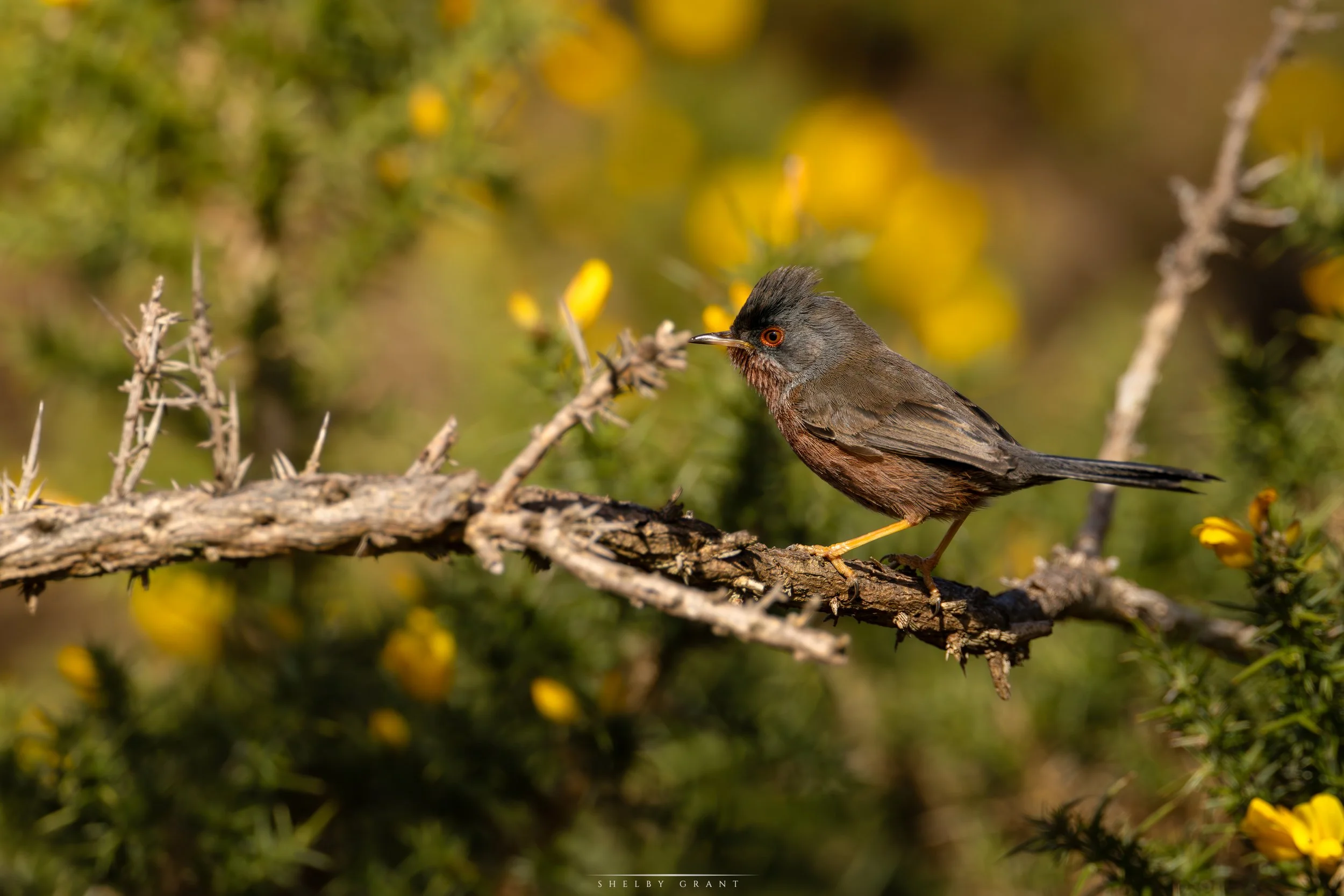 071A3374-Edit.jpg