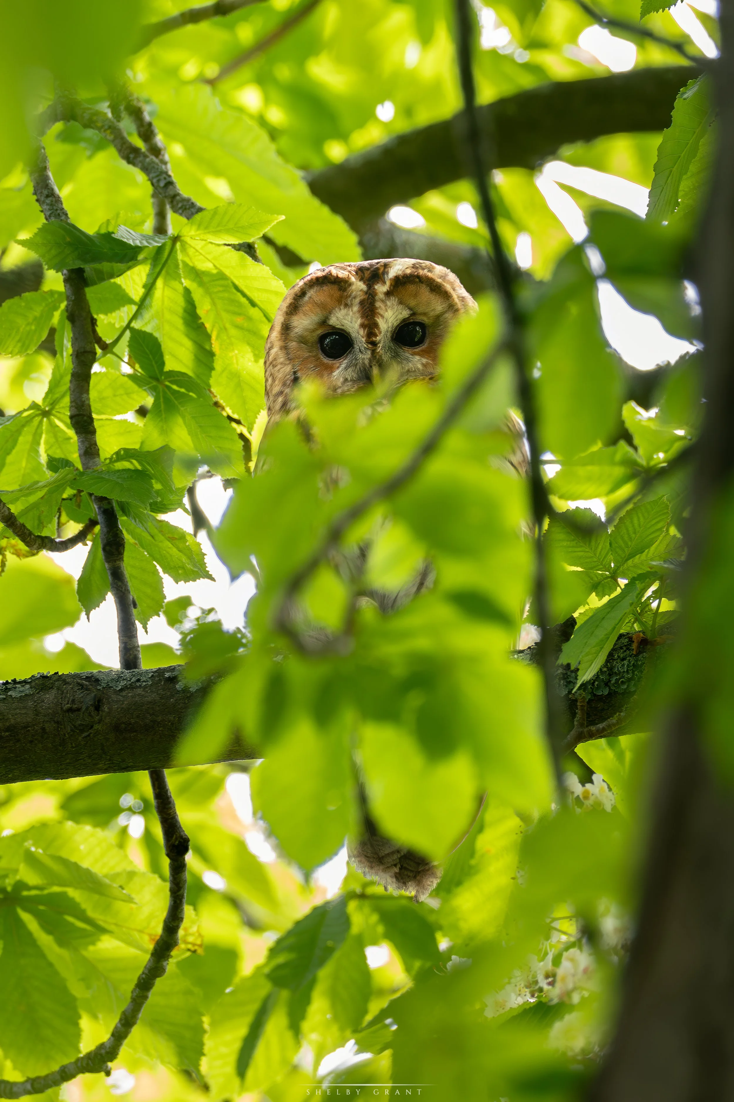 071A5944-Edit.jpg