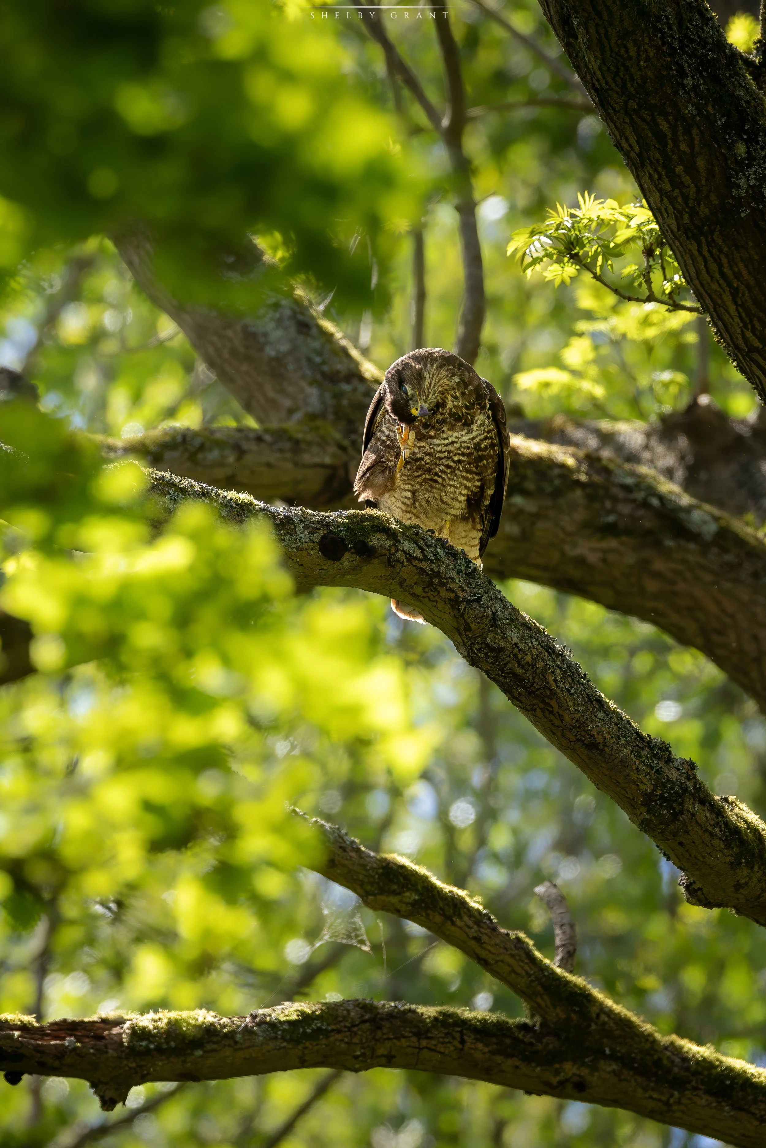 071A6776-Edit.jpg