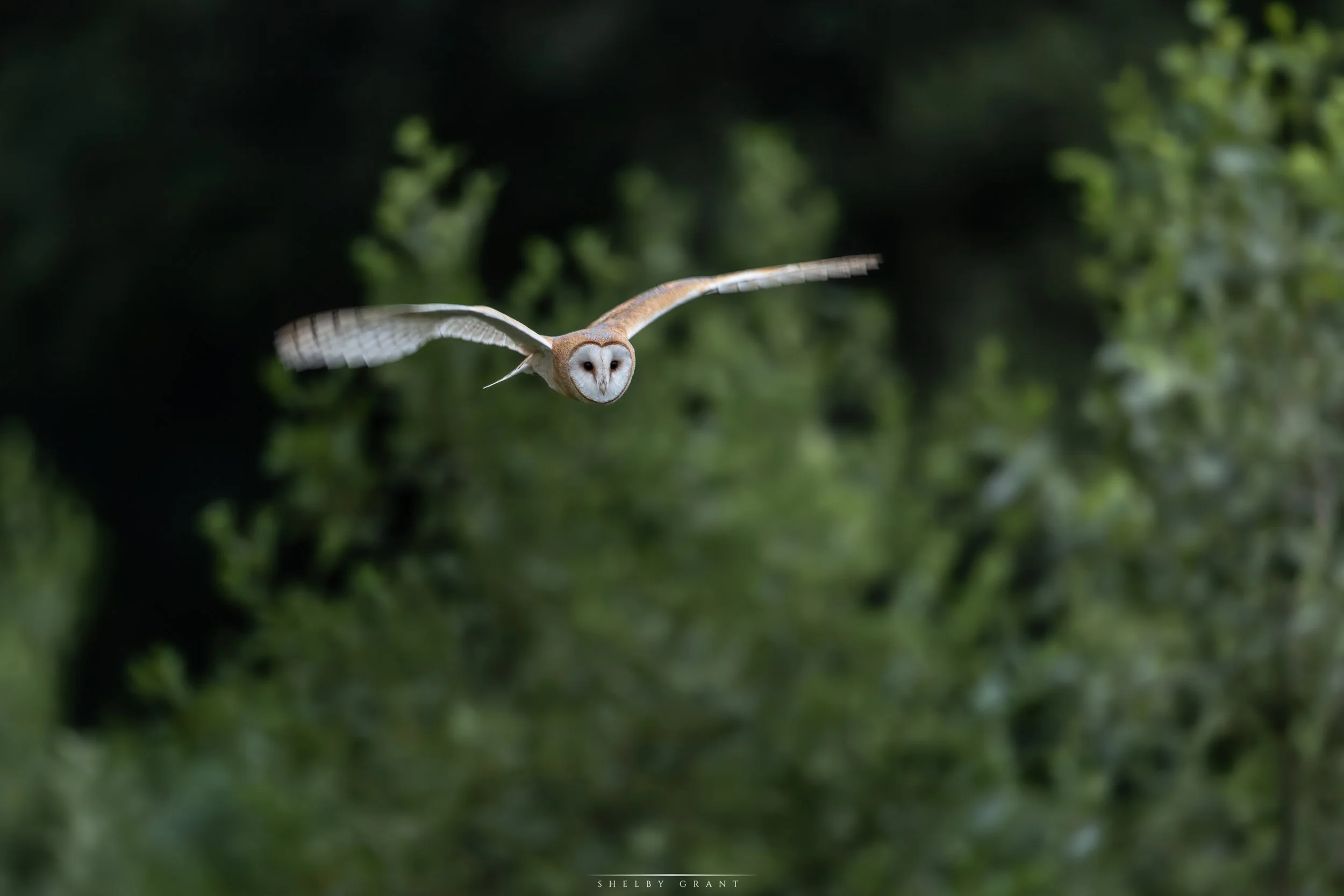 071A8034-Edit.jpg