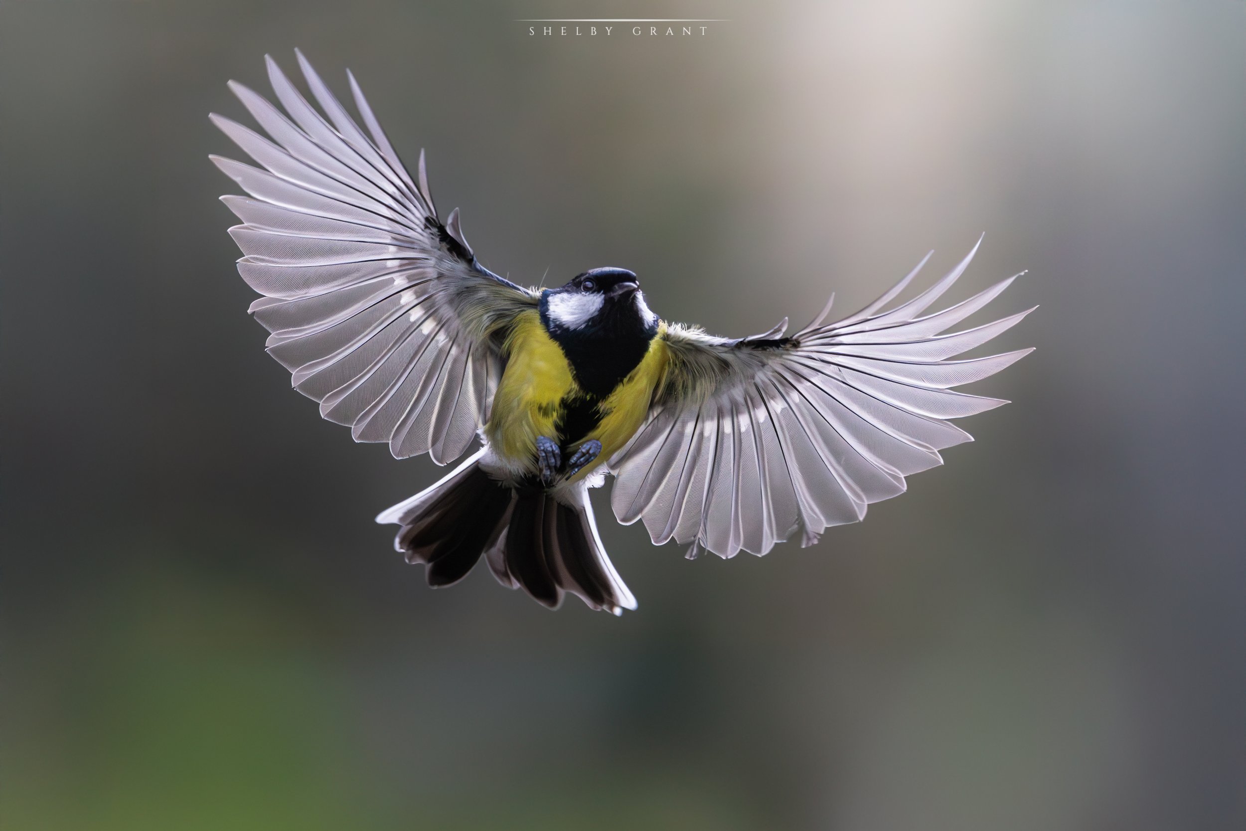 "A Moment of Grace"