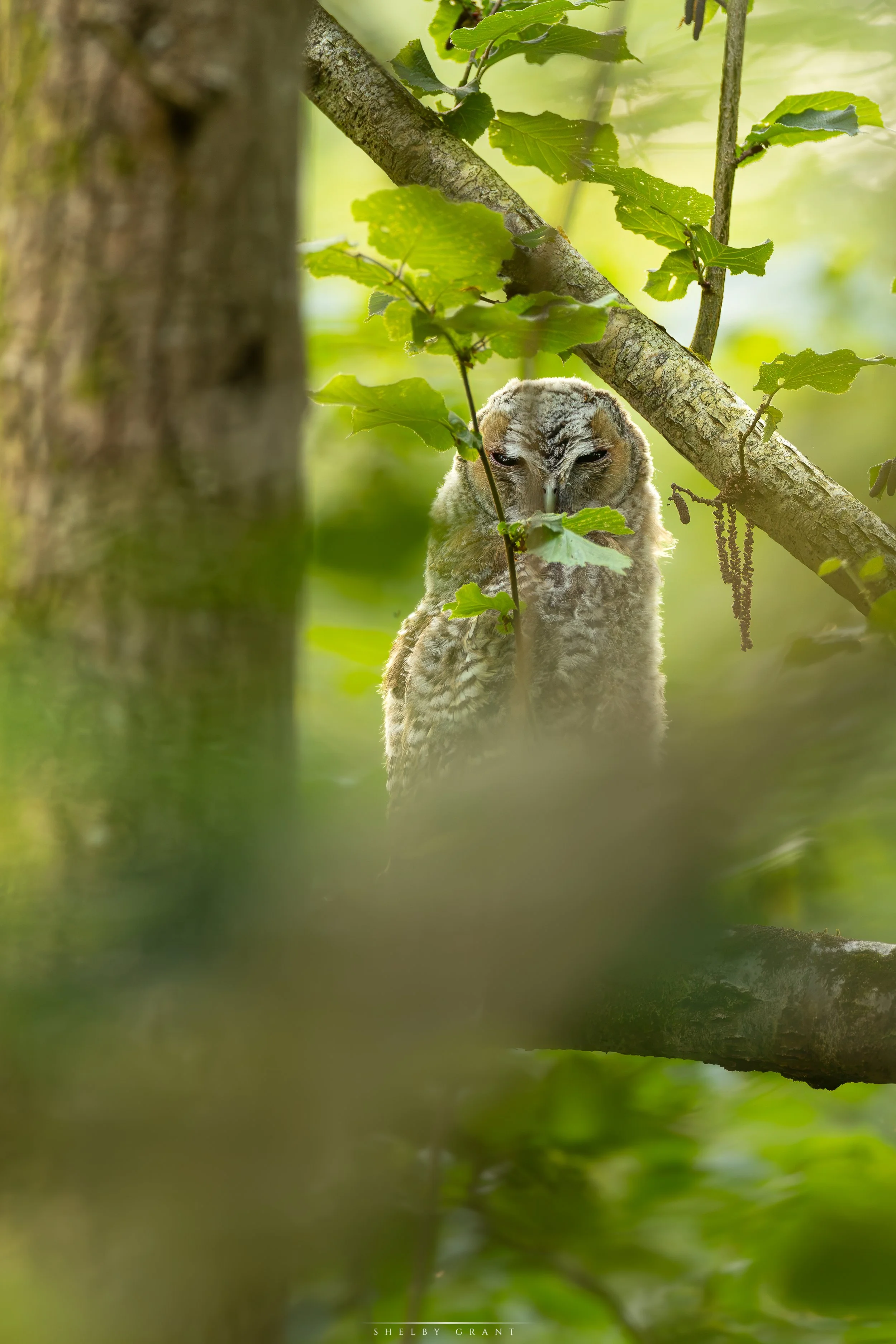 071A7211-Edit.jpg