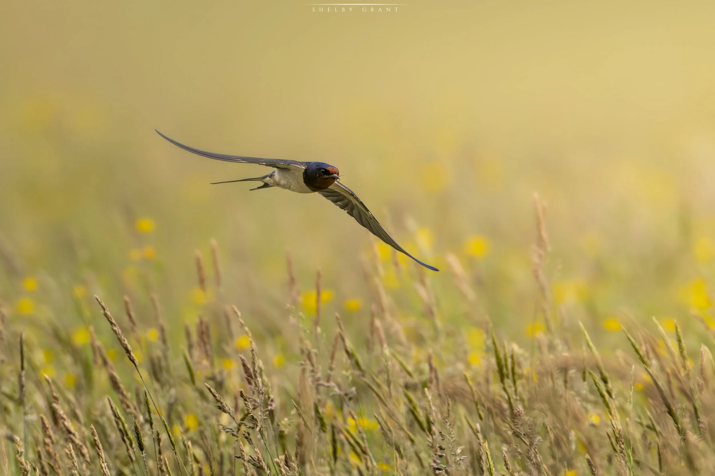 071A5564-Edit.jpg