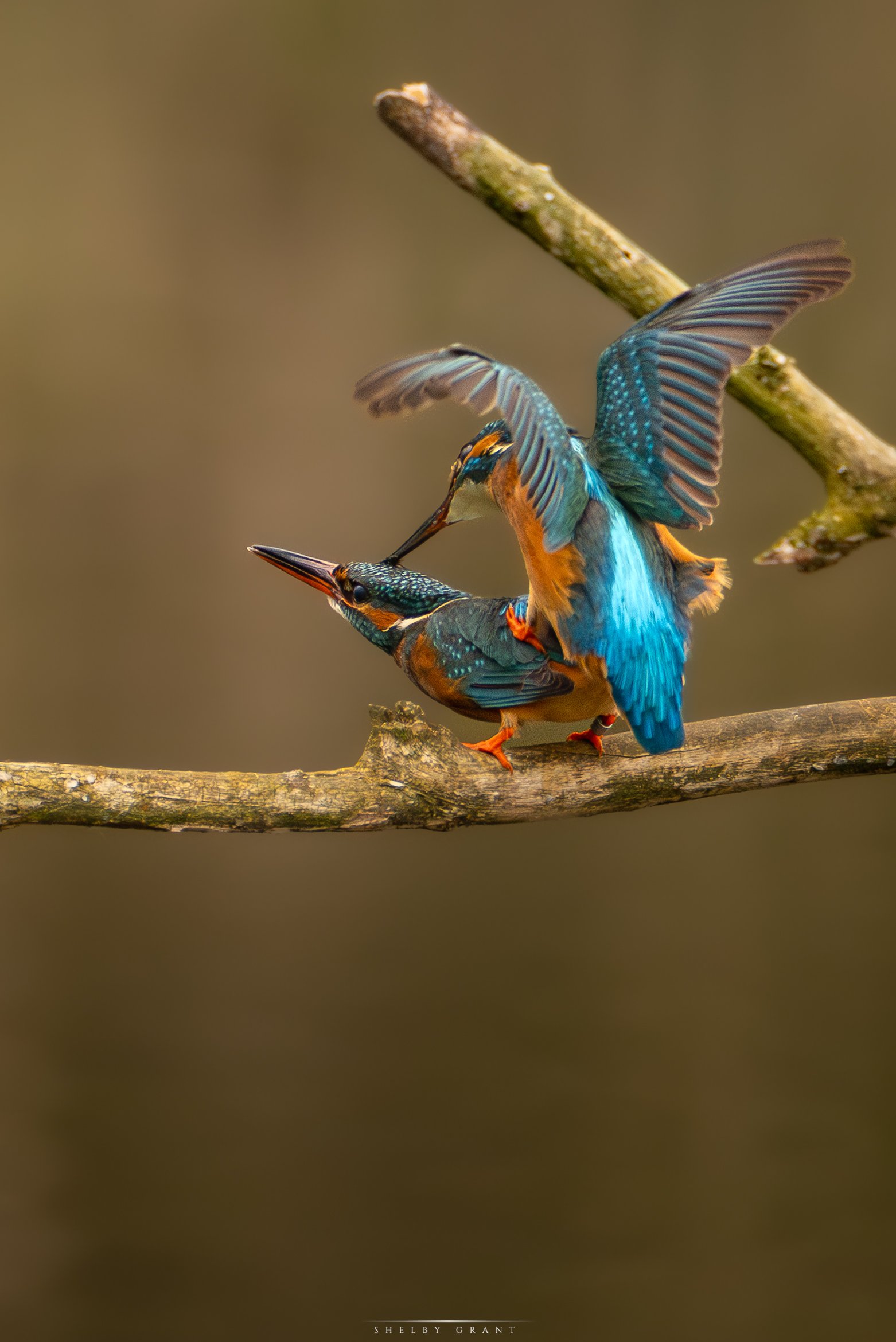071A3835-Edit-2-2.jpg