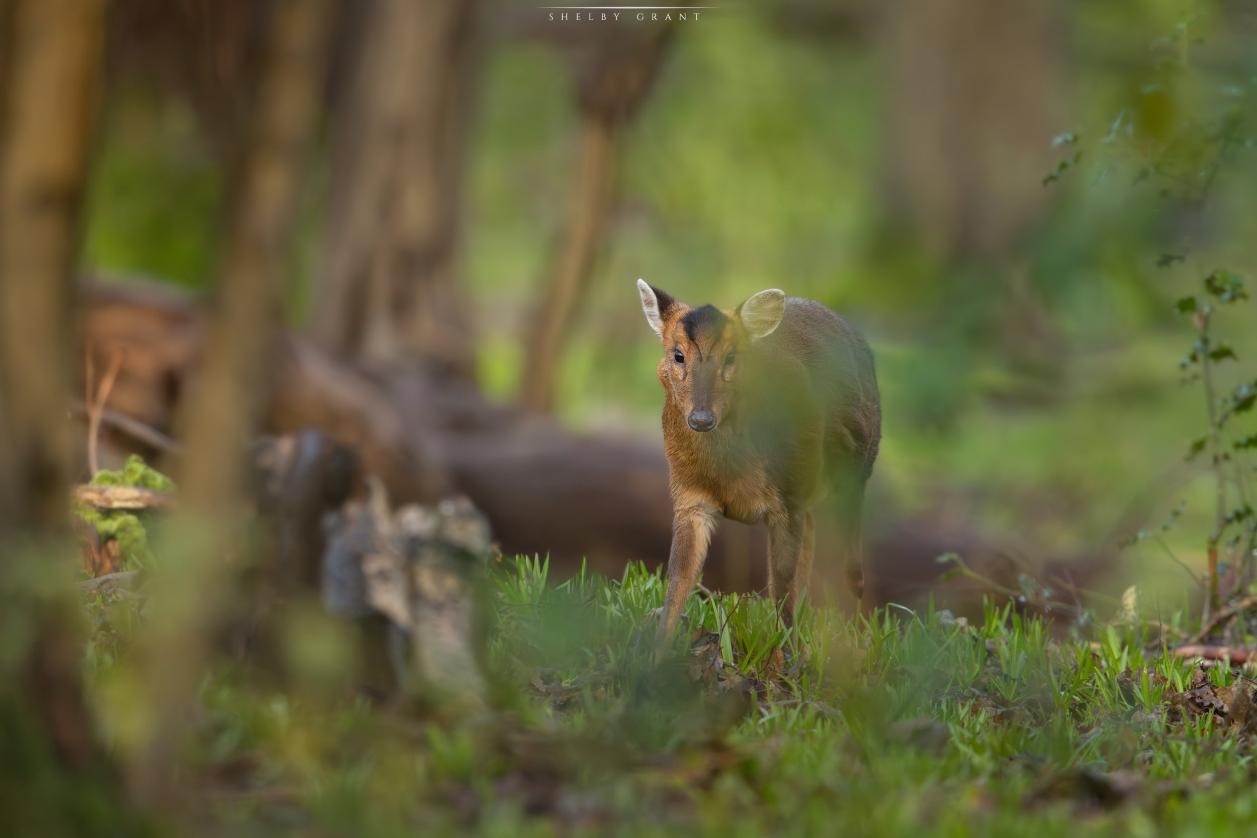 071A5623-Edit.jpg