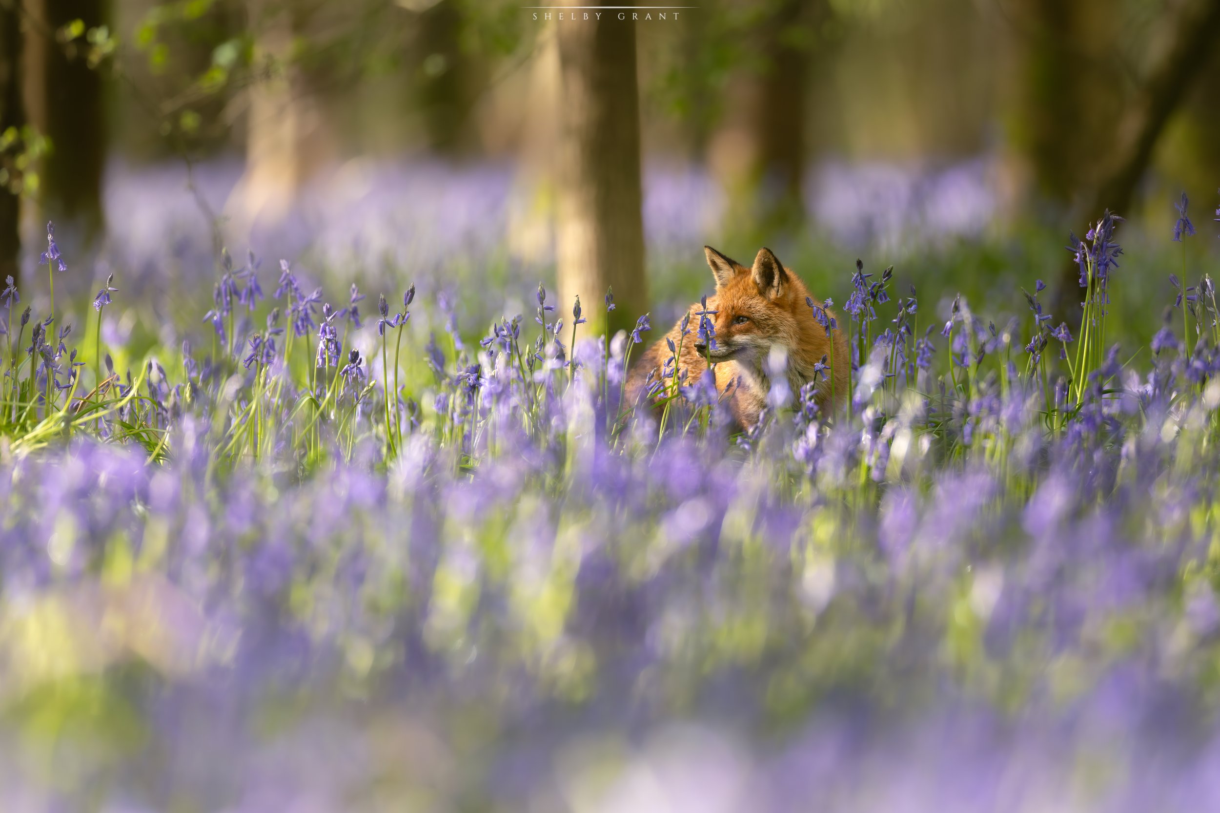 071A8817-Edit.jpg