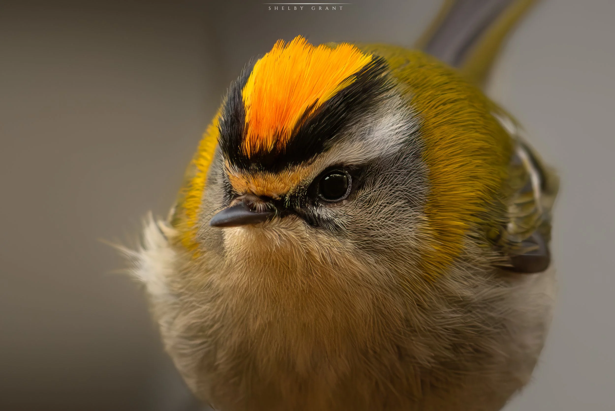 071A2935-Edit-2.jpg