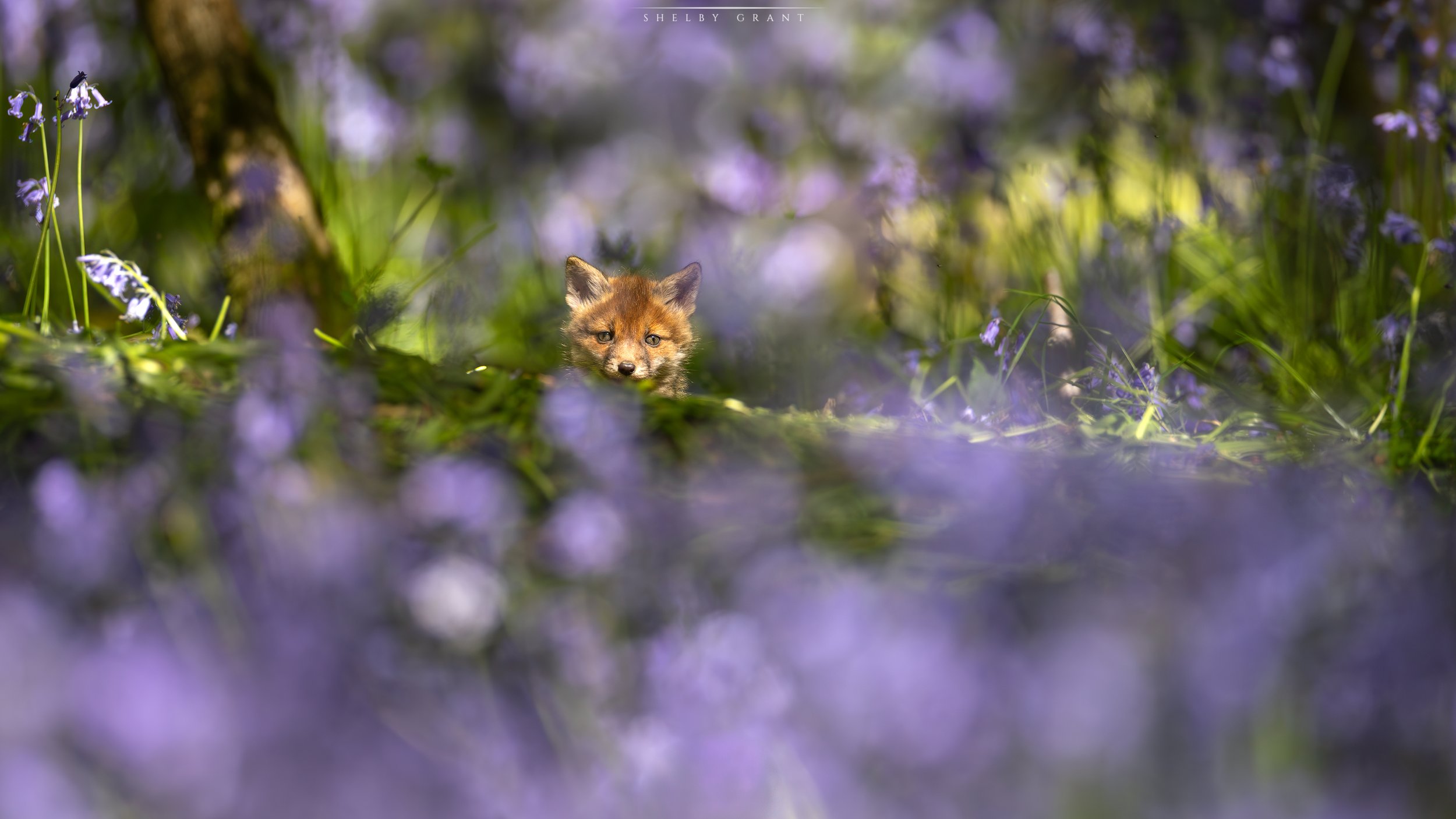 071A6580-Edit.jpg