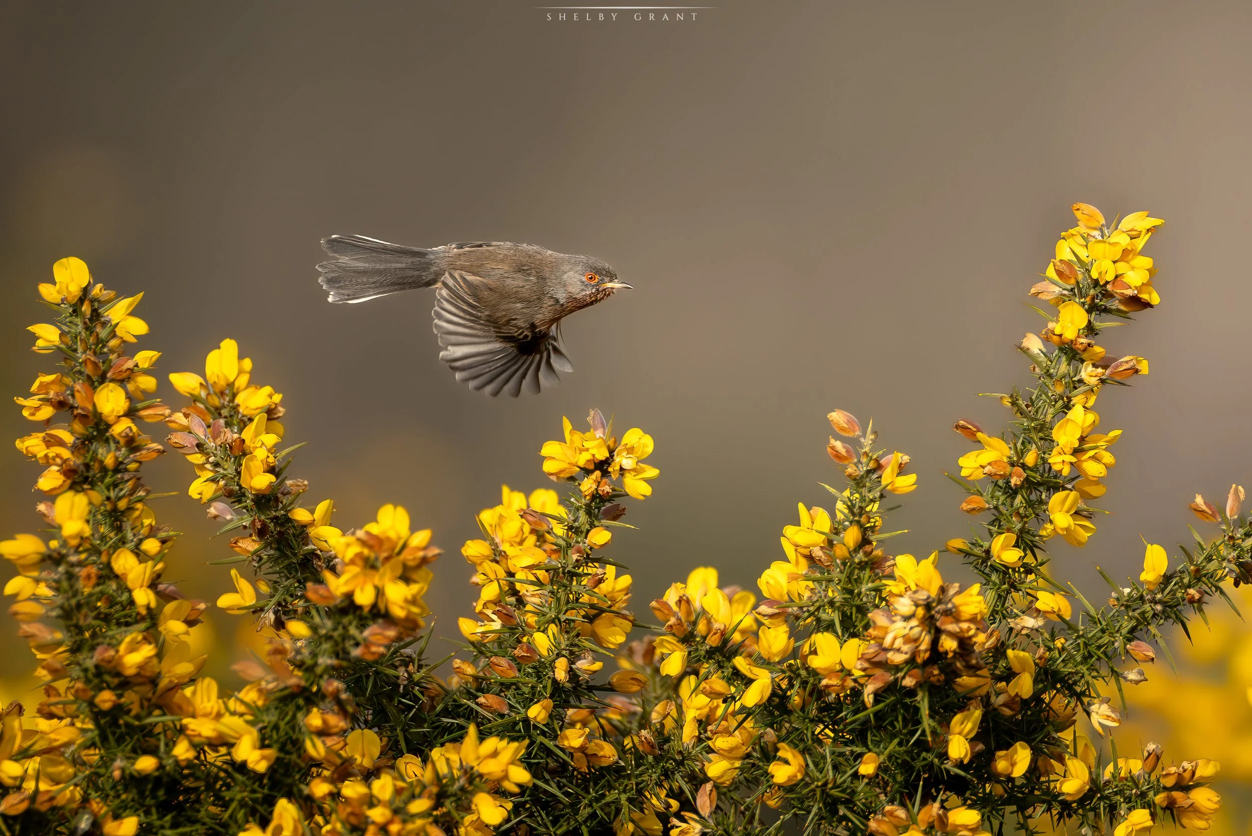 071A1758-Edit-2.jpg