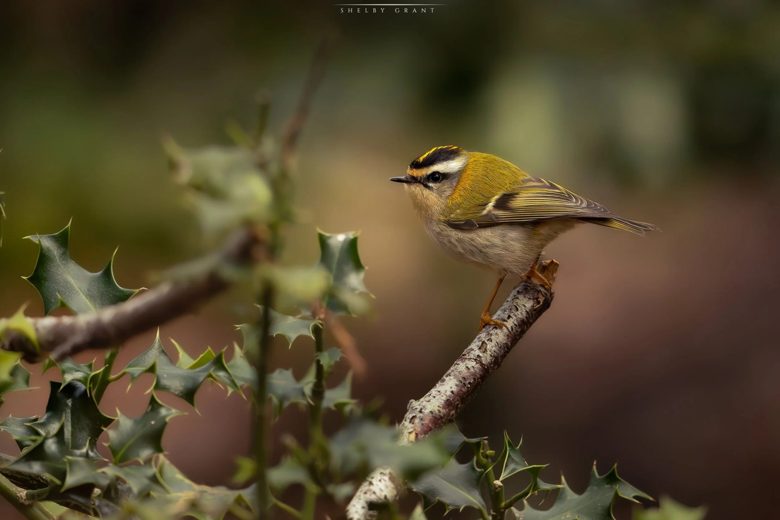 071A3171-Edit-2.jpg