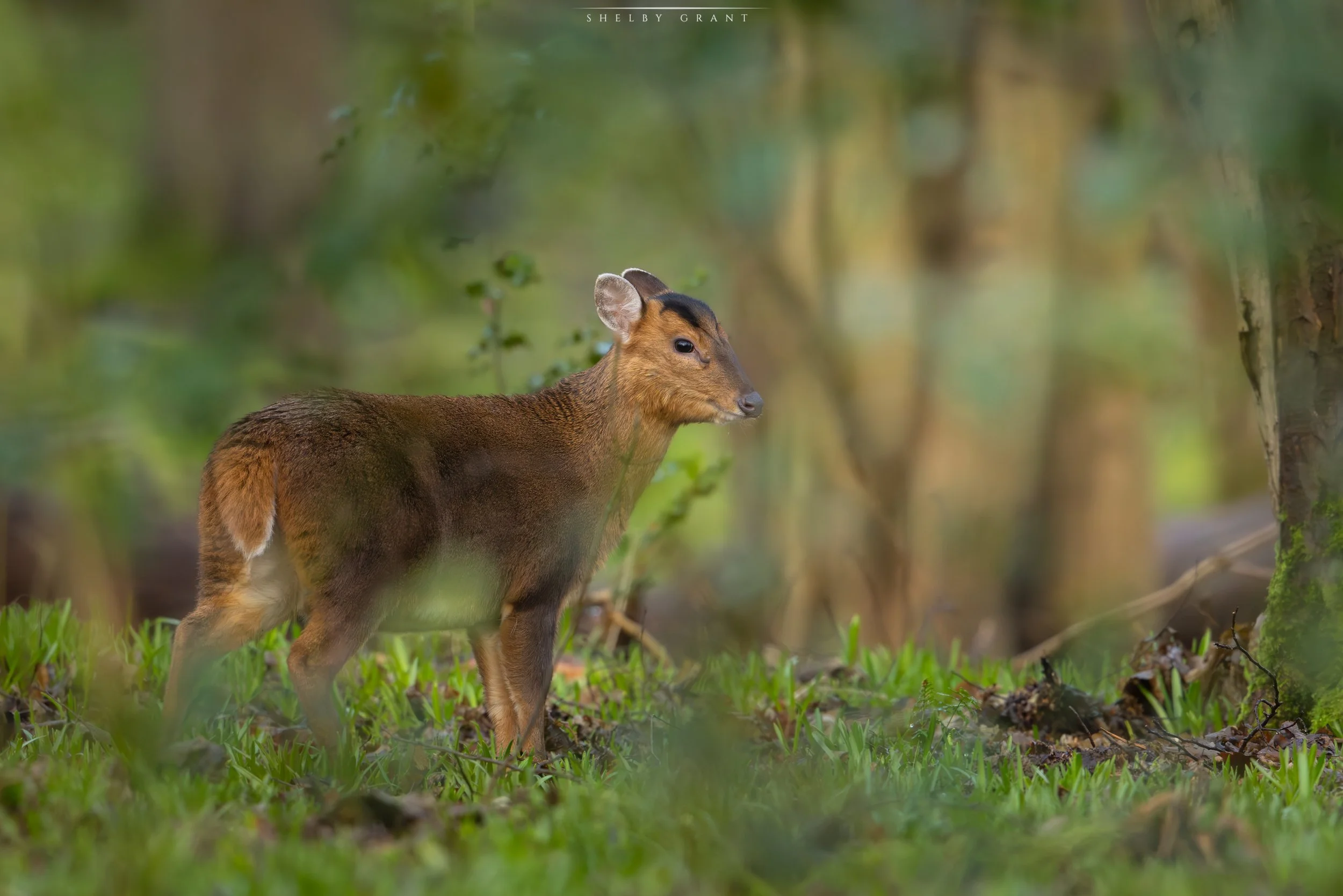 071A5735-Edit.jpg