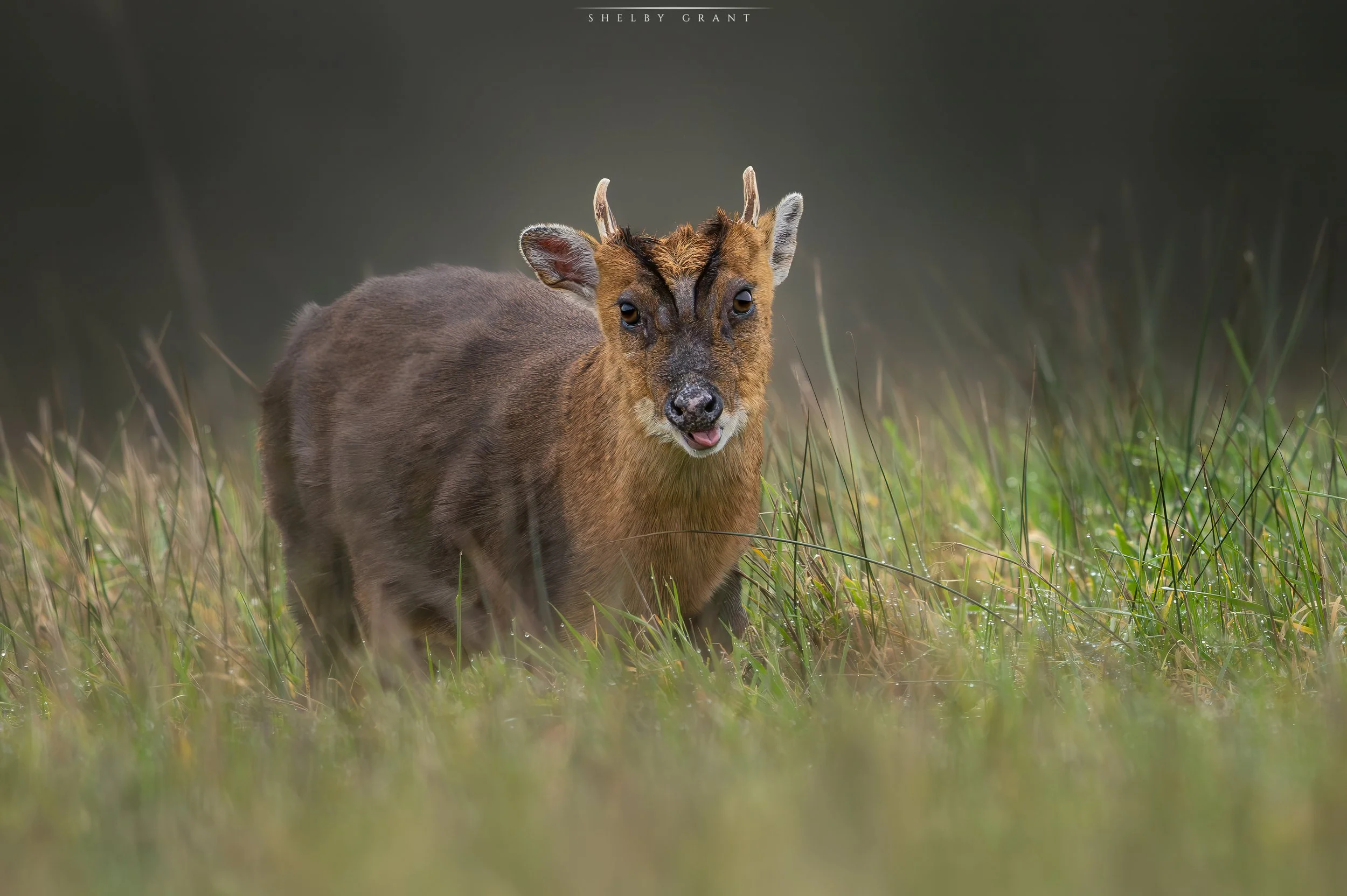 071A9574-Edit.jpg