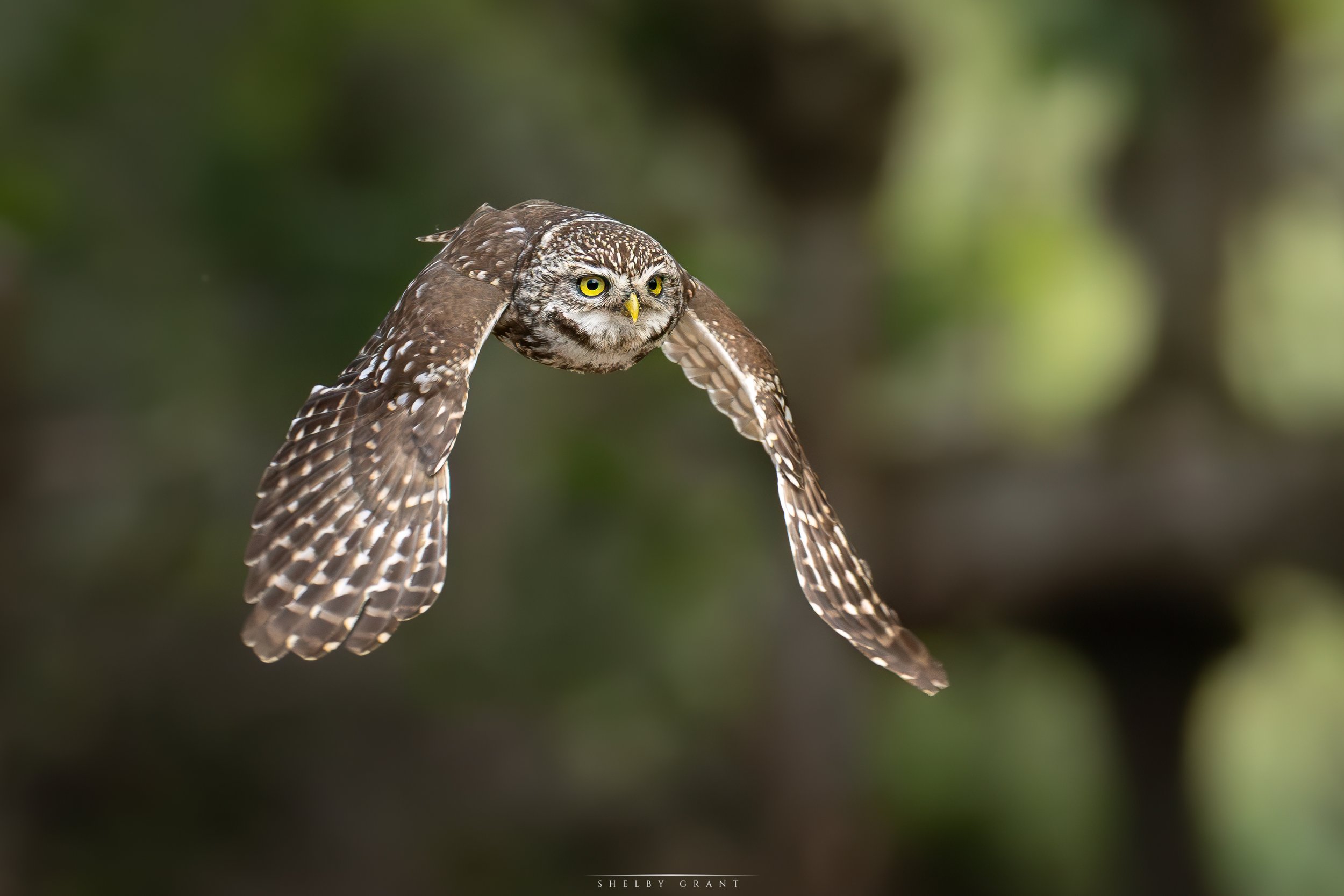 071A1276-Edit-2.jpg