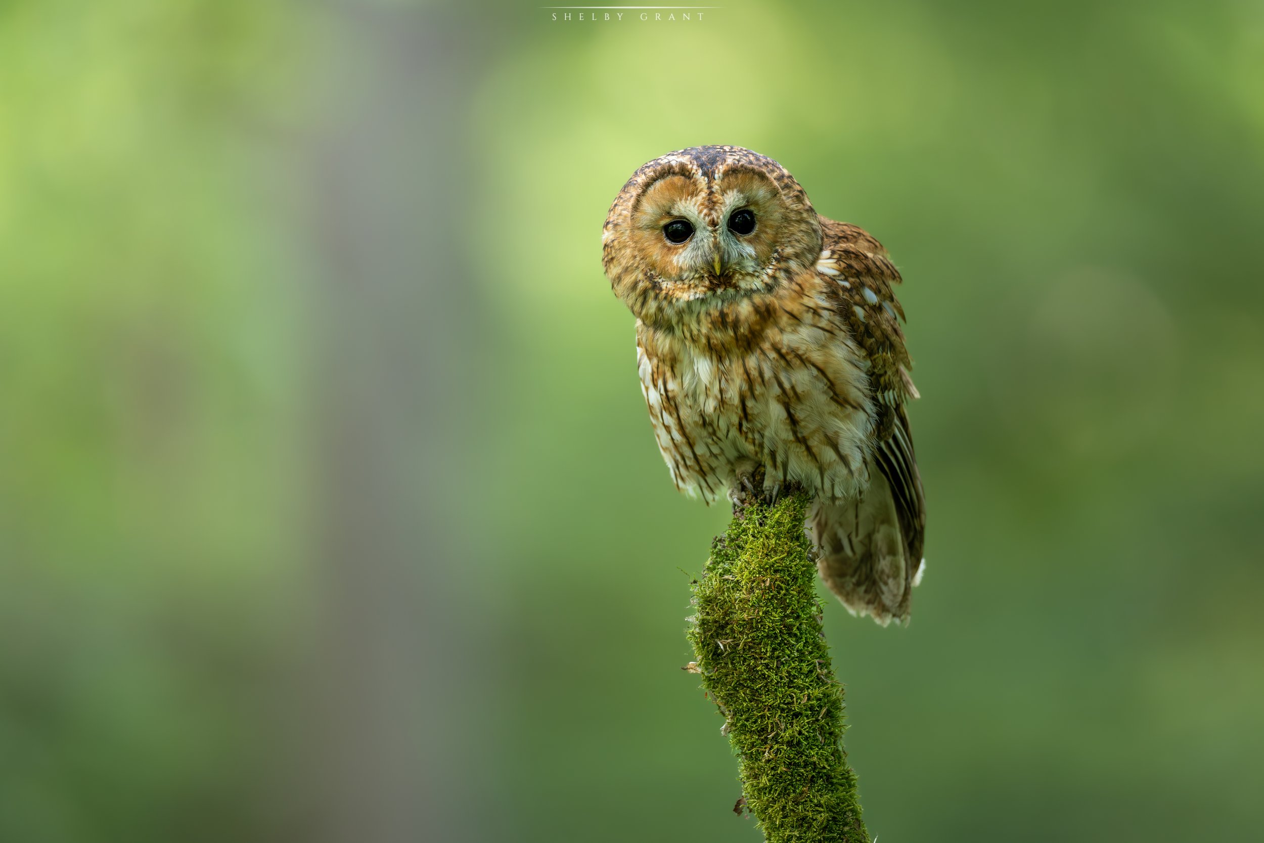 071A7990-Edit.jpg