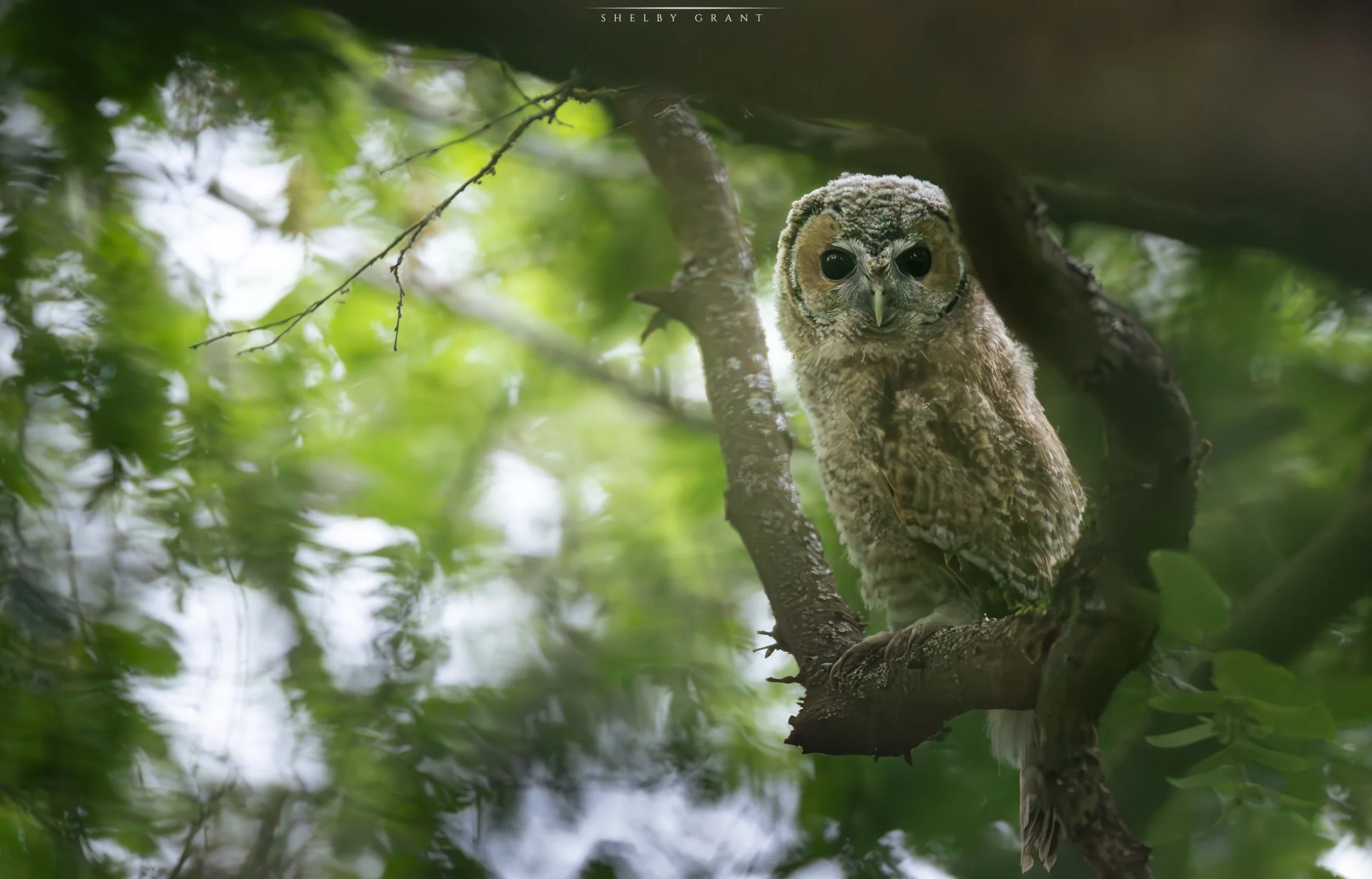 071A8343-Edit.jpg