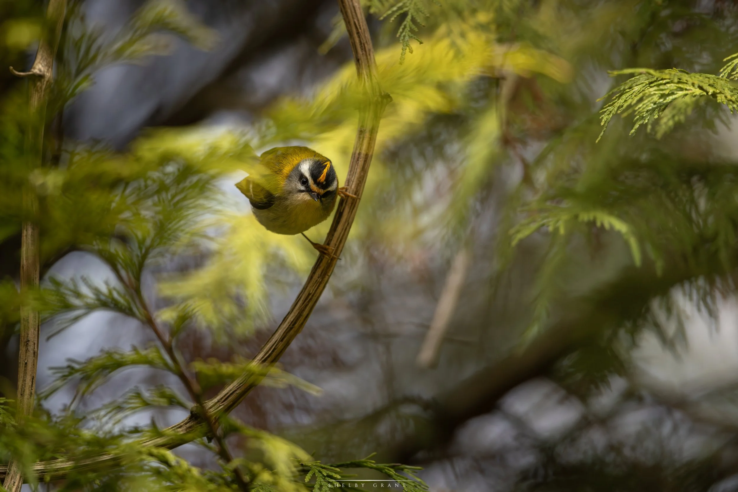 071A3234-Edit.jpg