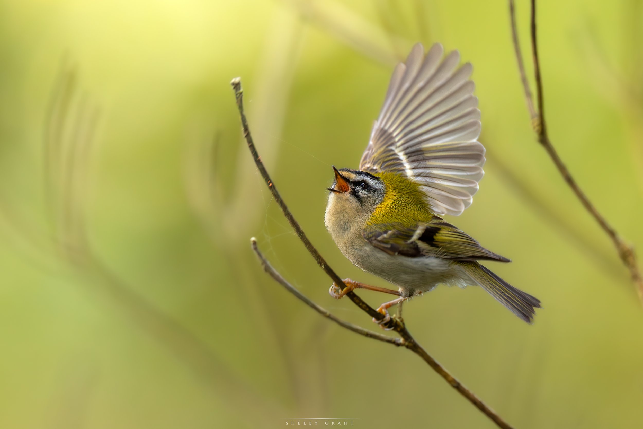 071A9272-Edit.jpg