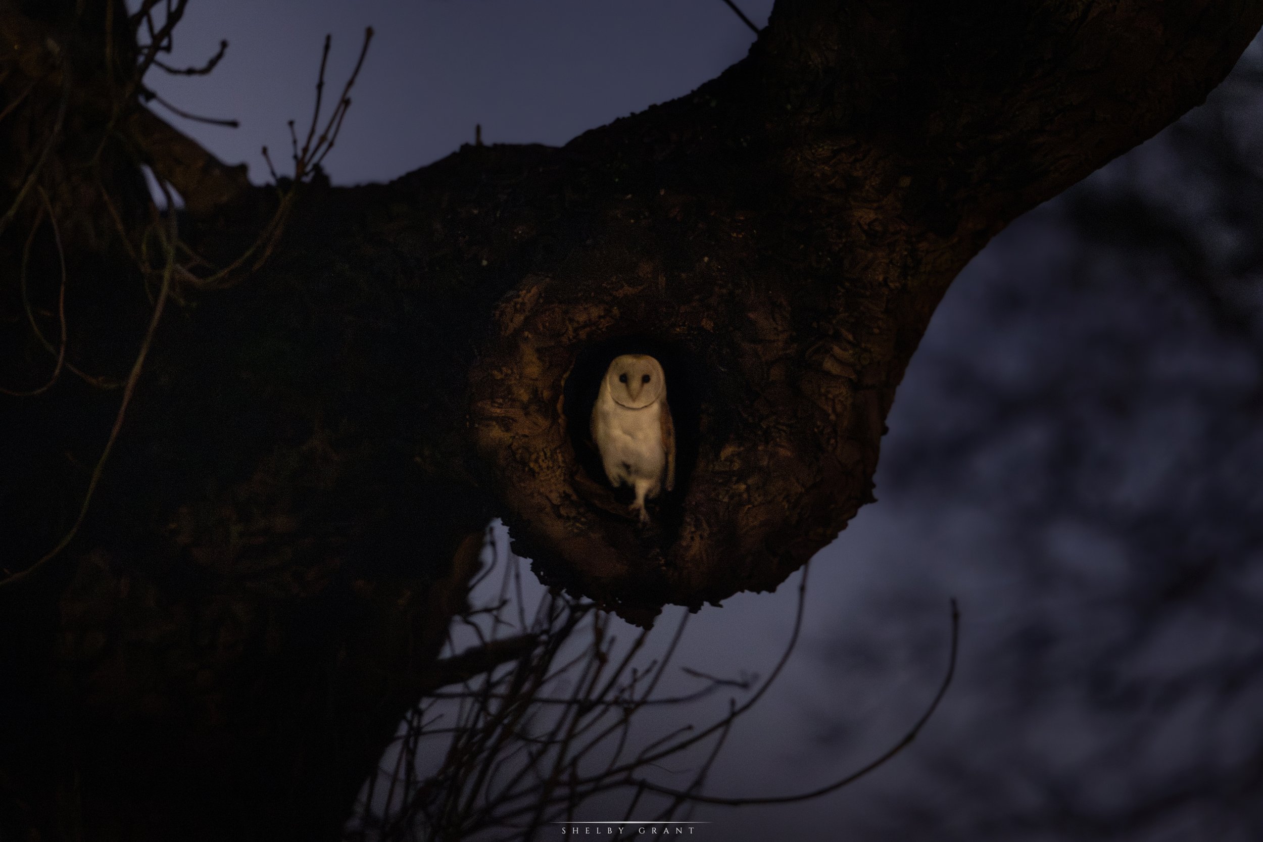 071A5984-Edit.jpg