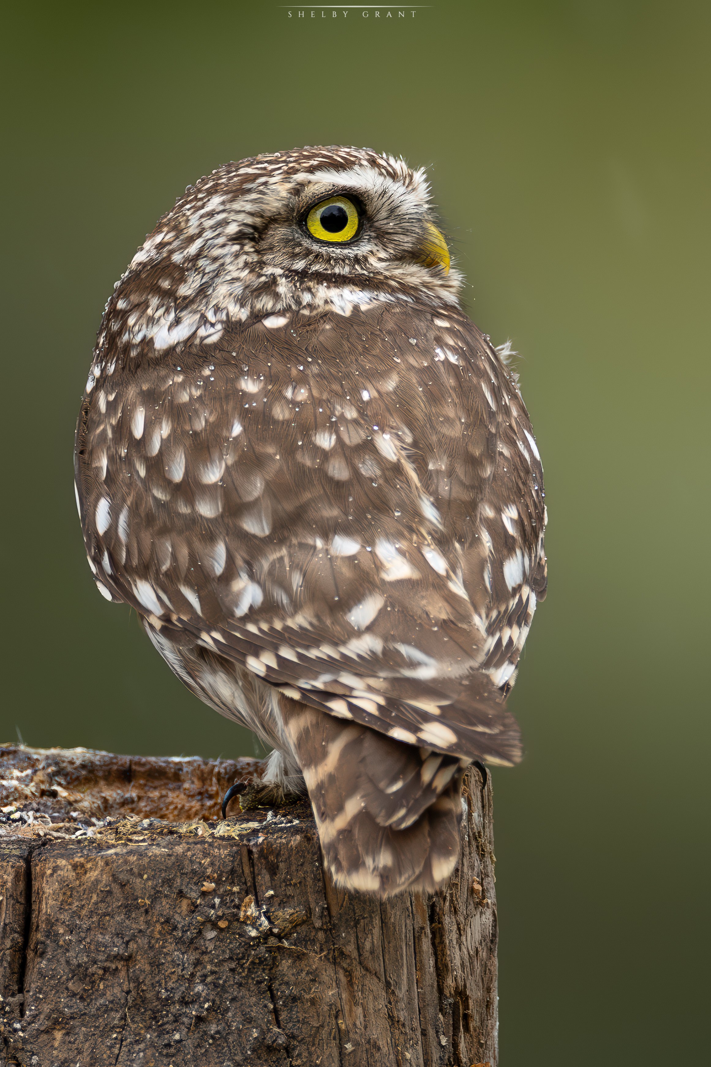 071A9847-Edit-2.jpg