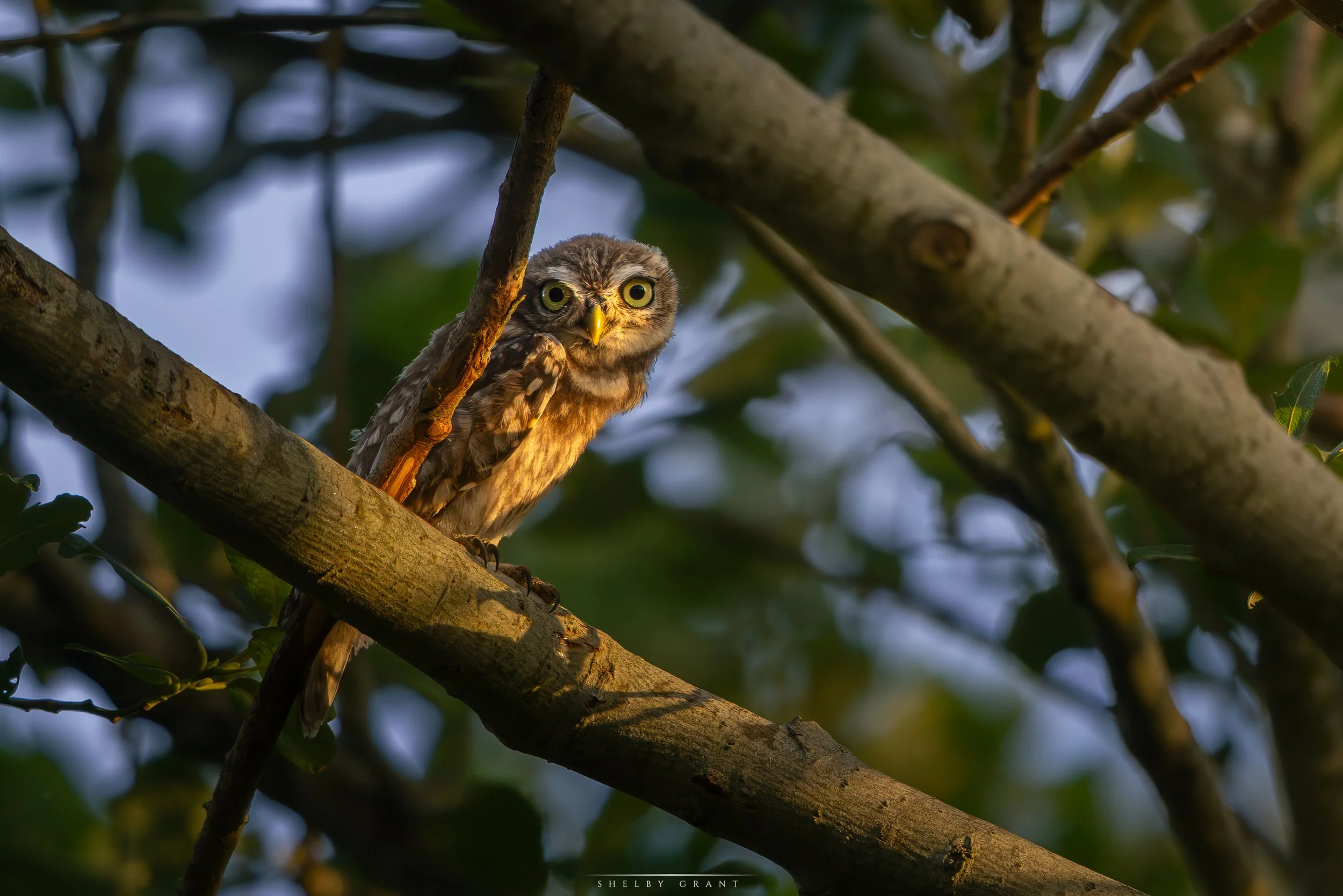 071A6534-Edit.jpg