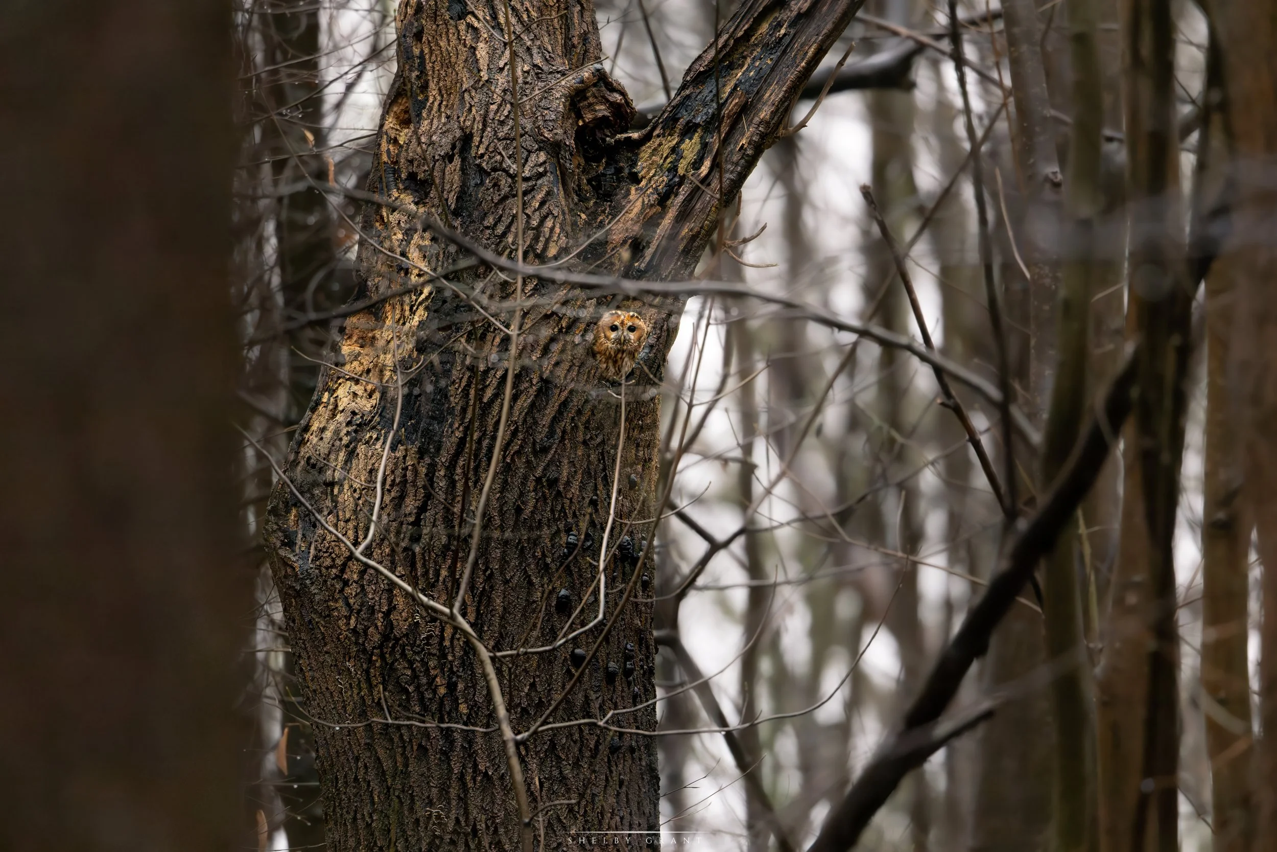 071A6375-Edit-3.jpg