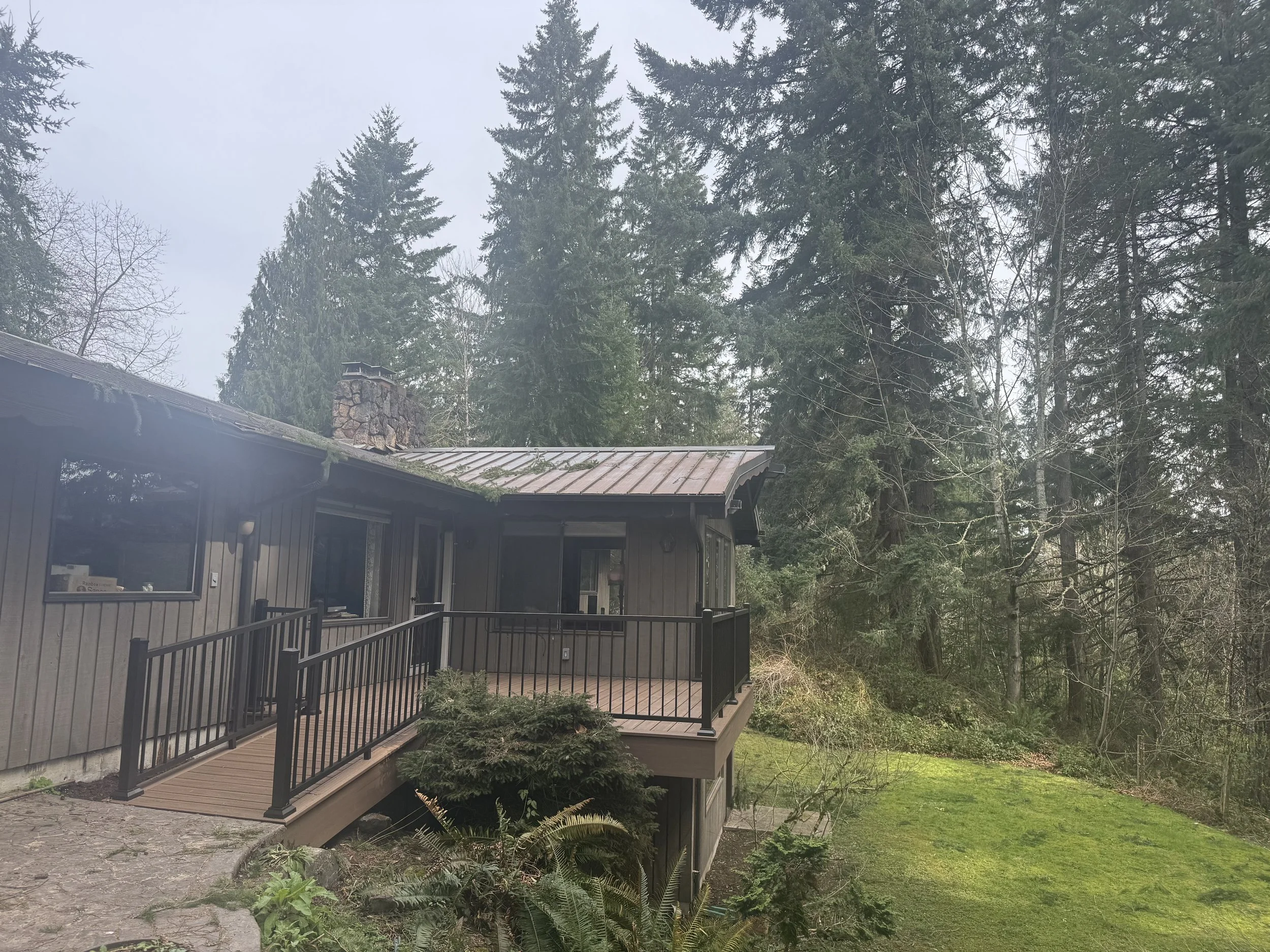 A wooden house with a metal roof and chimney, surrounded by tall evergreen and leafless trees, and a grassy yard with small plants and bushes.