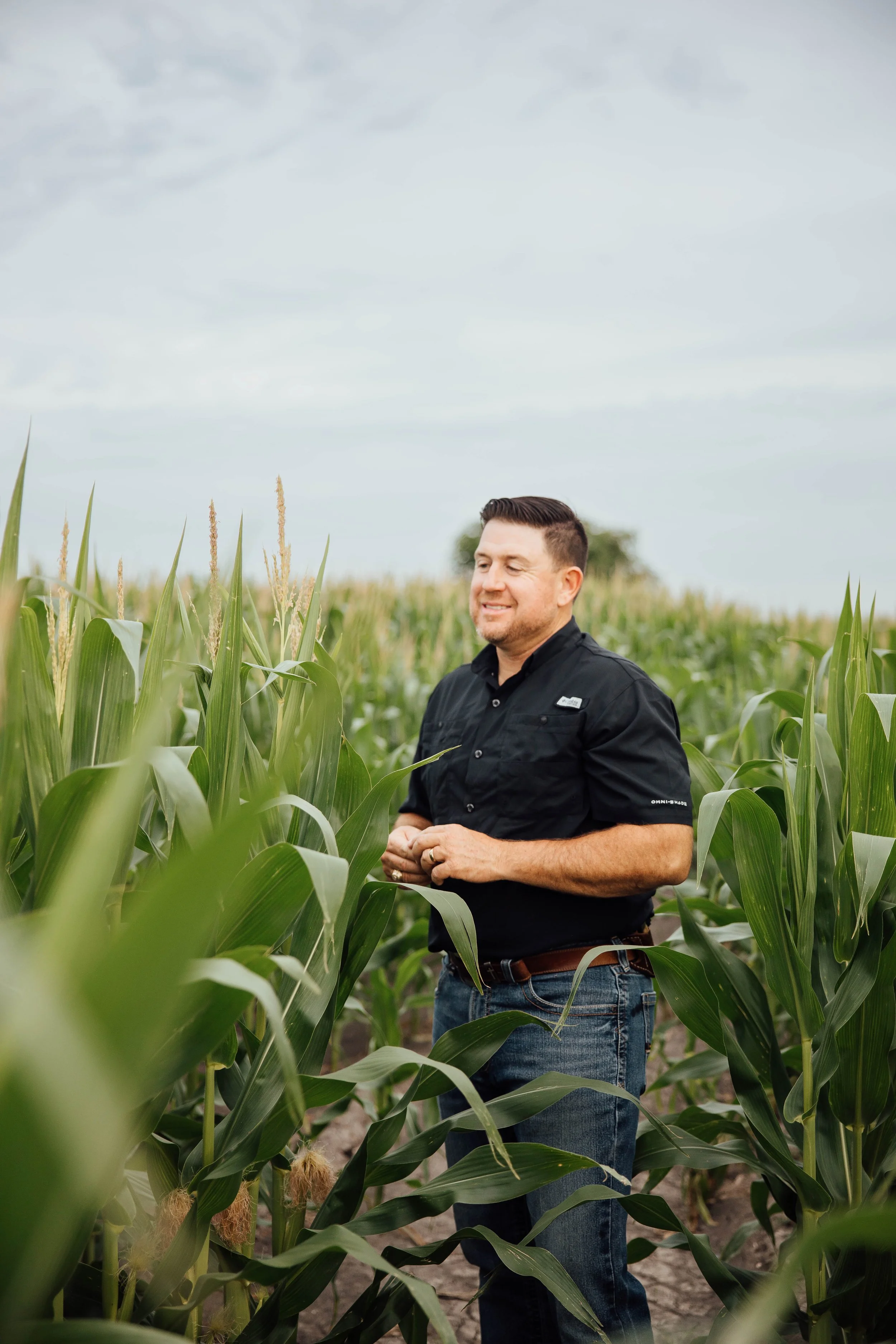 CORN FIELD WITH INSURANCE AGENT