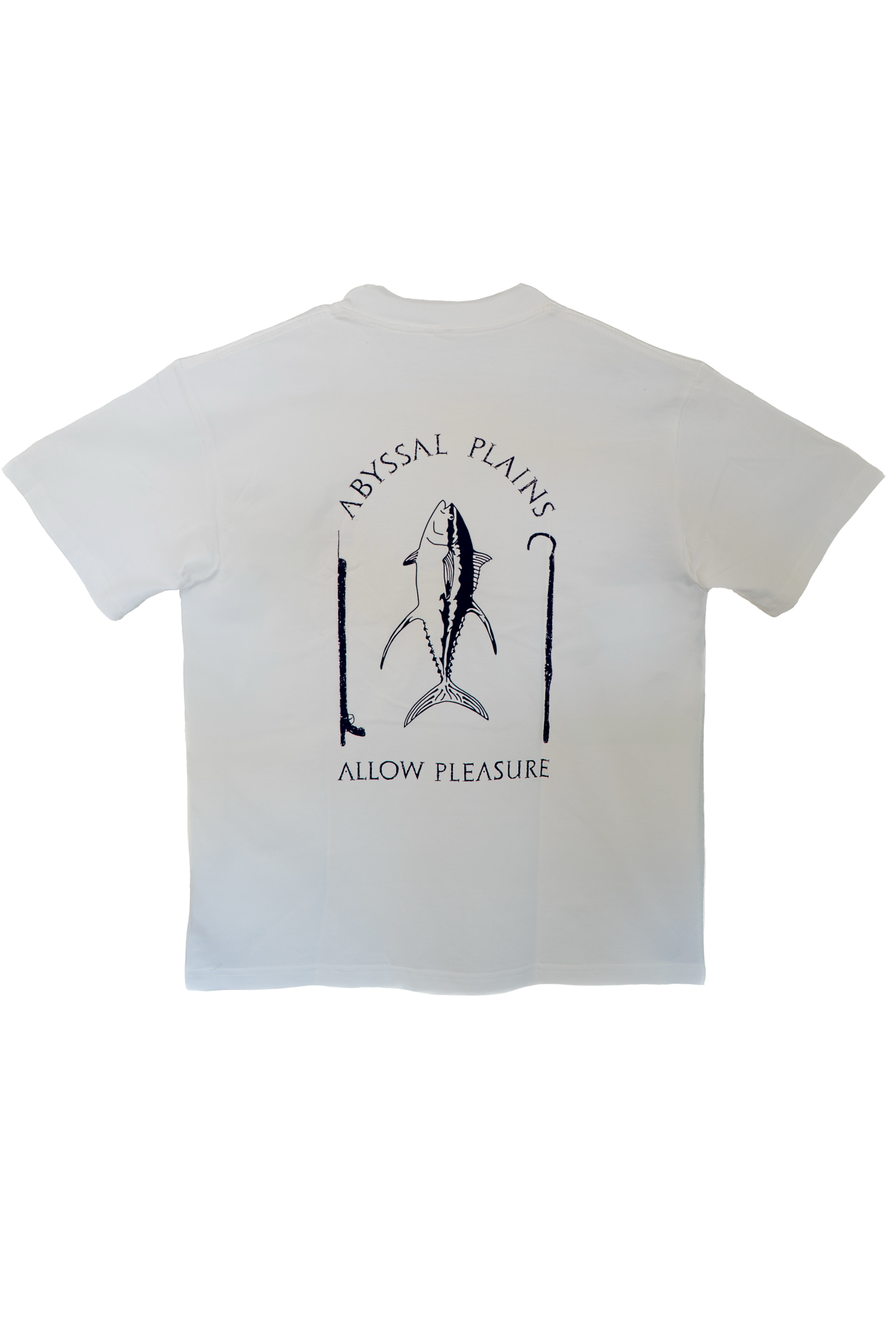 ALLOWPLEASURE BACK.png