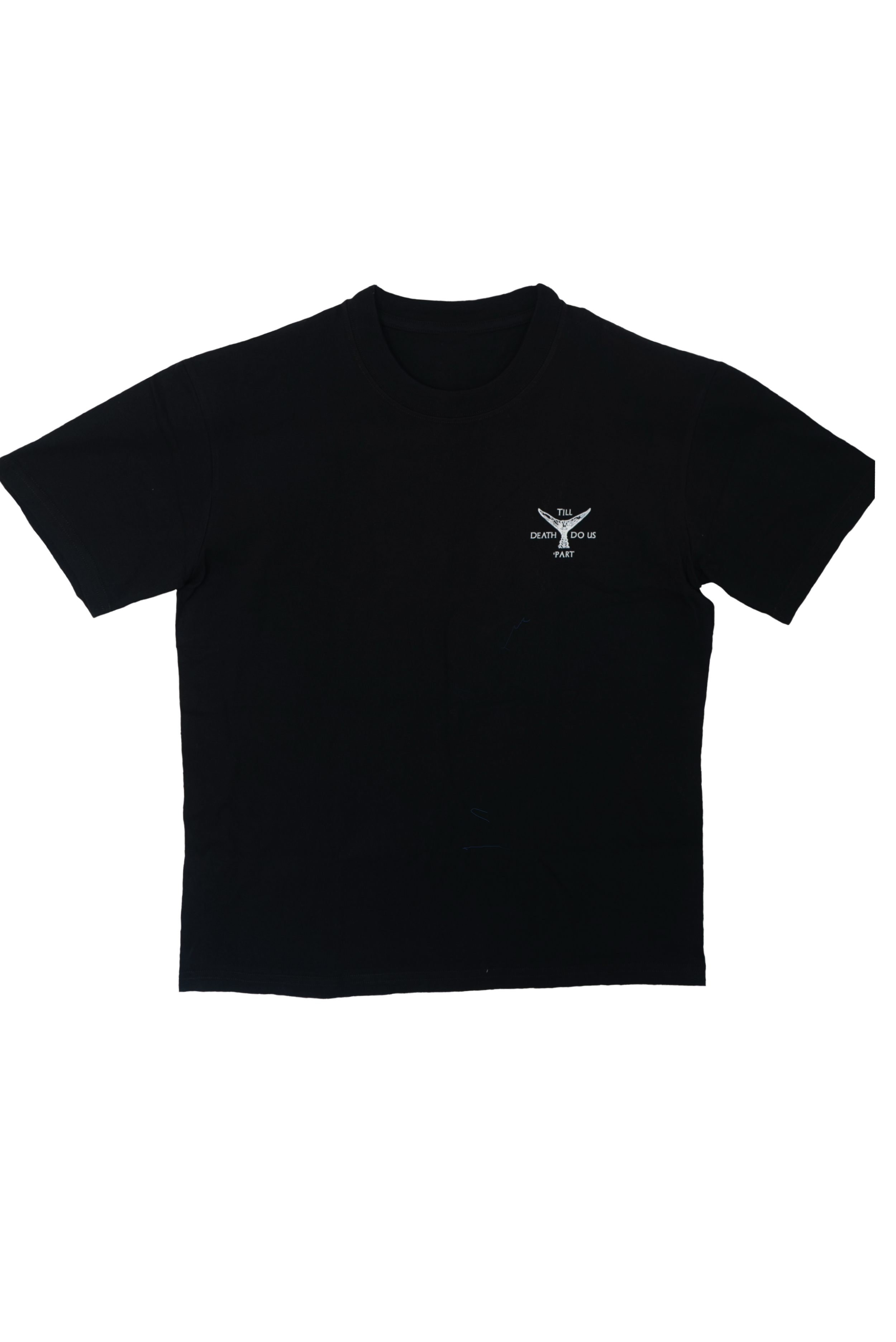 TDDUP FRONT.png