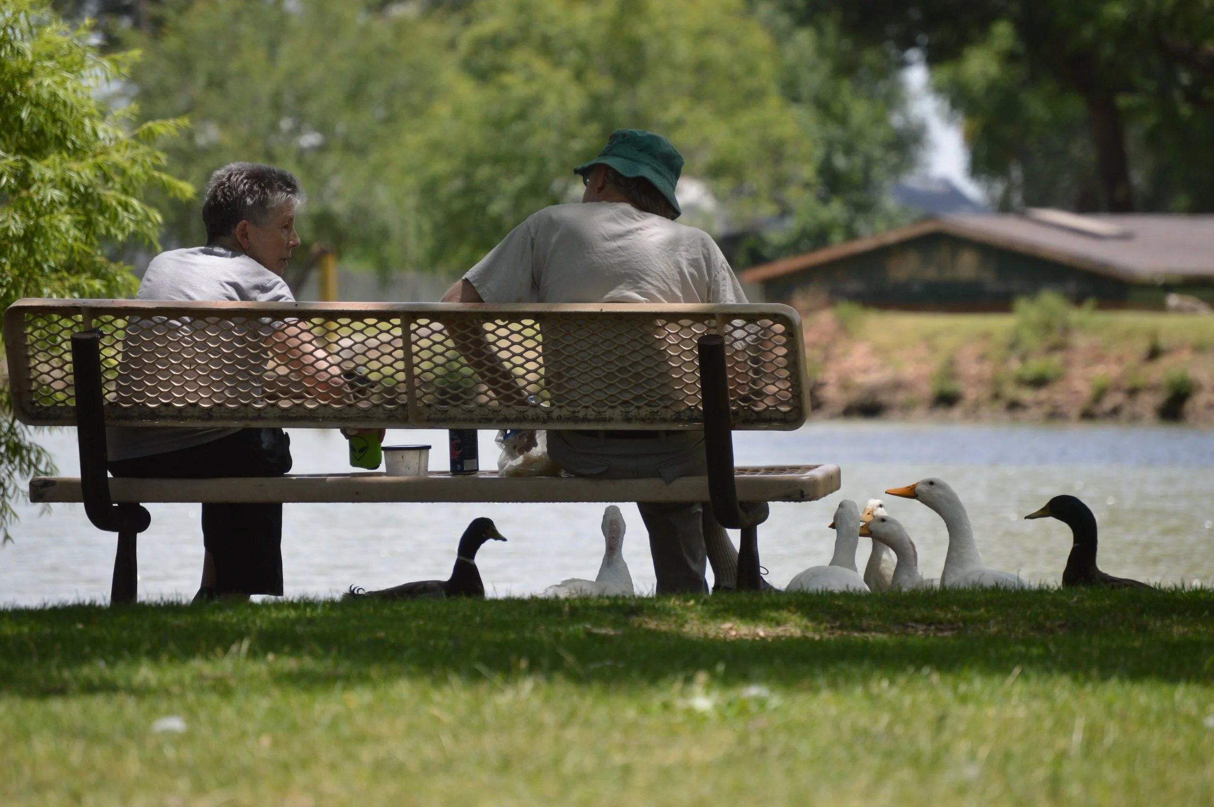 Hillcrest Park Clovis.jpg