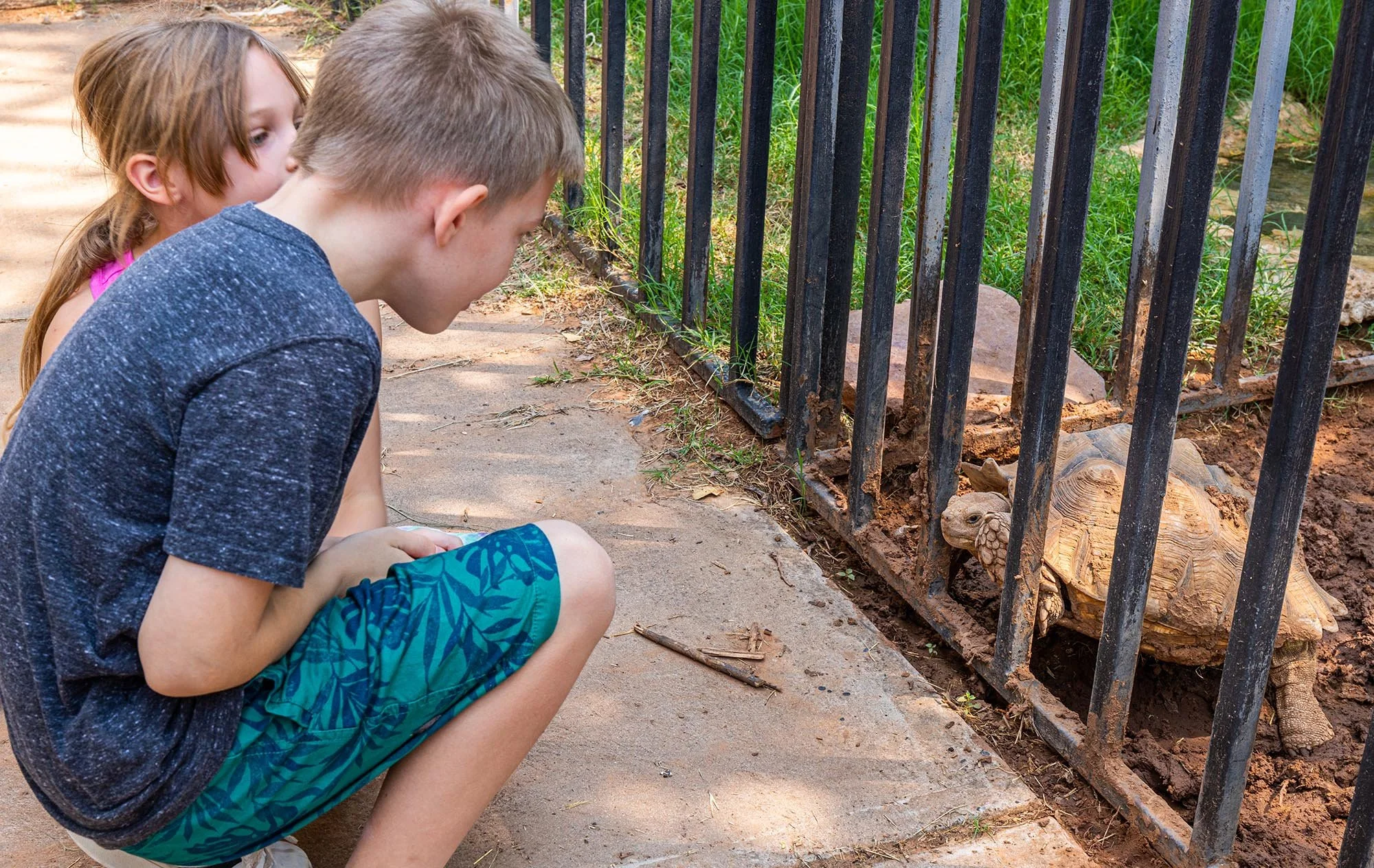 Clovis Hillcrest Park Zoo Aug 21 (1).jpg