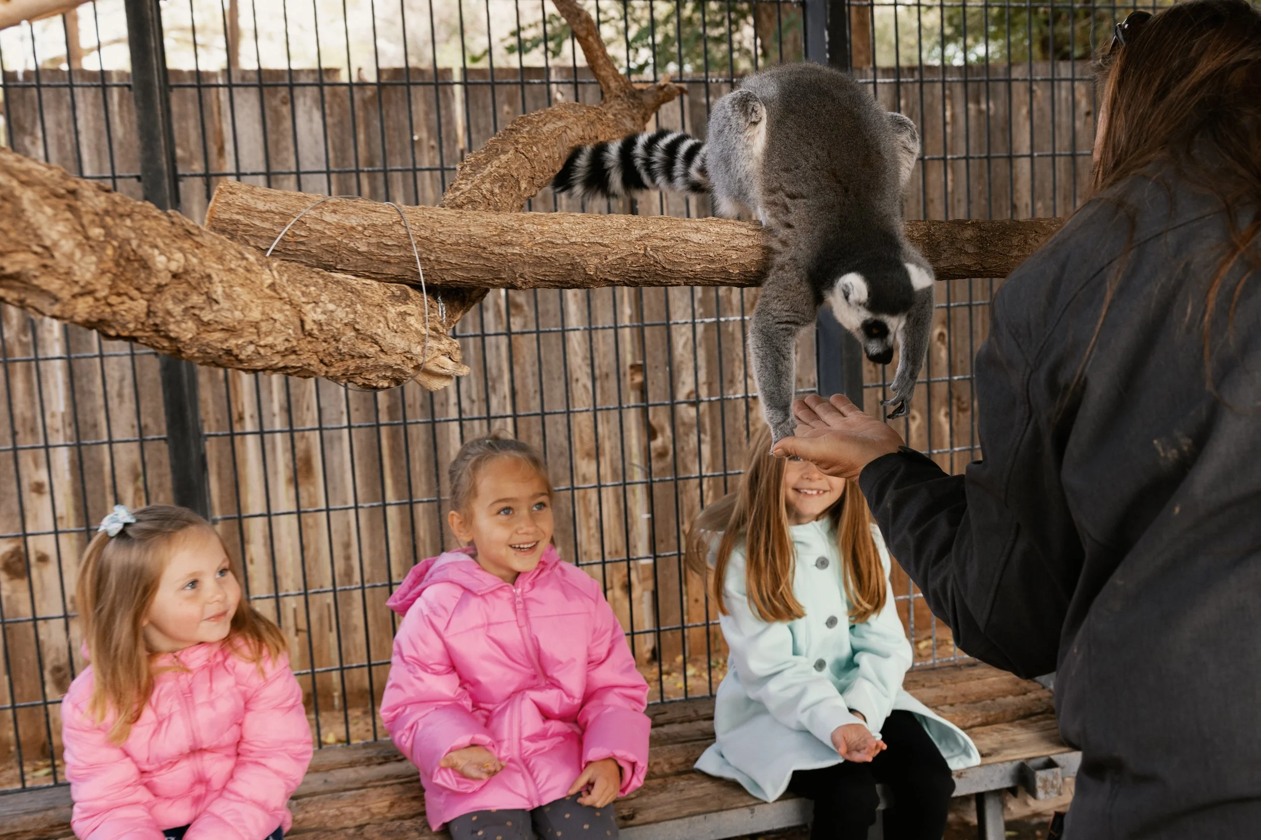 Clovis FY23 NMTD (2).jpg