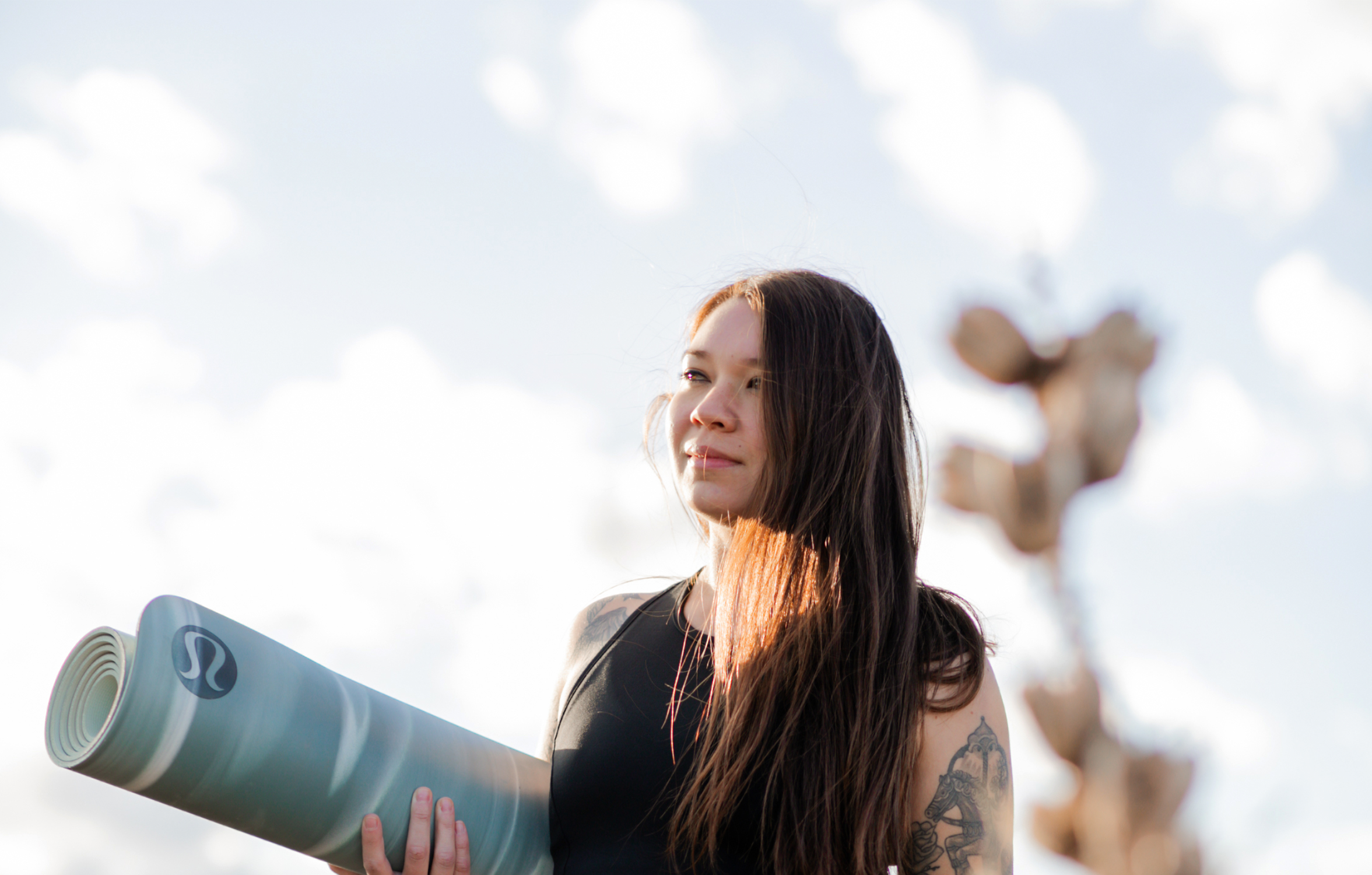 Clovis Website Header Large.png