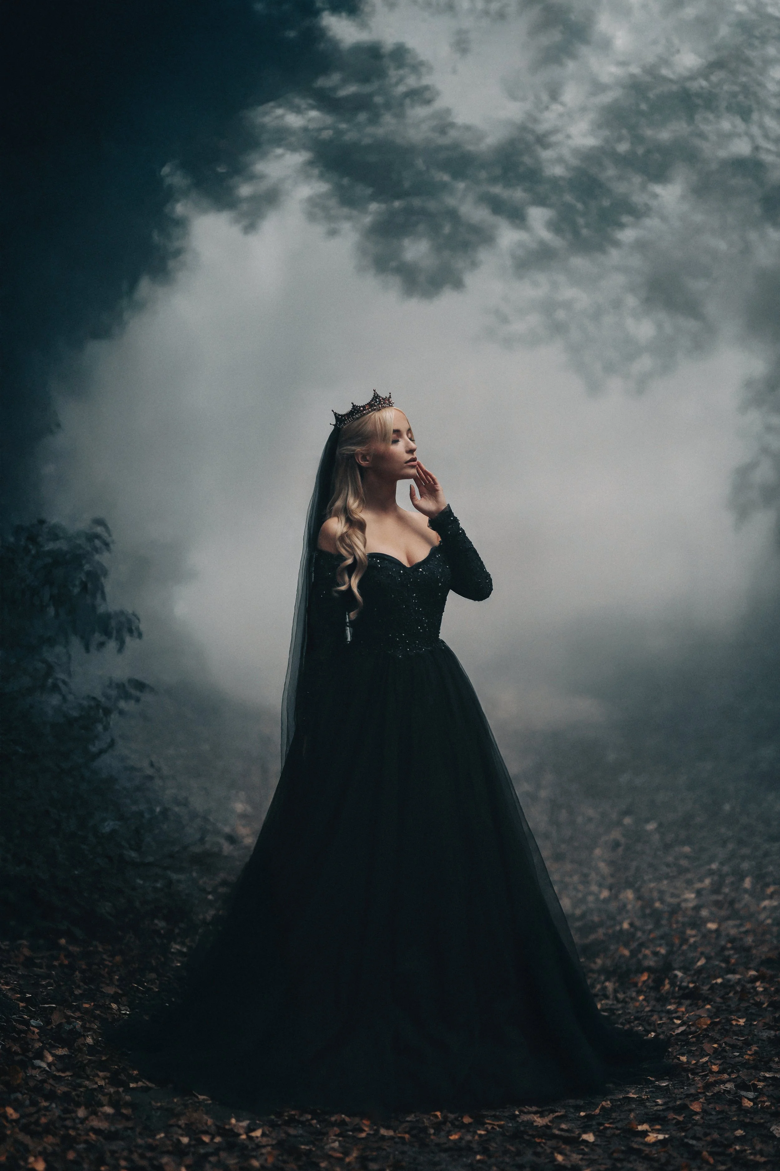A woman dressed as a dark princess or gothic queen, wearing a long black gown and a crown, standing in a foggy wooded area with trees and overcast sky.
