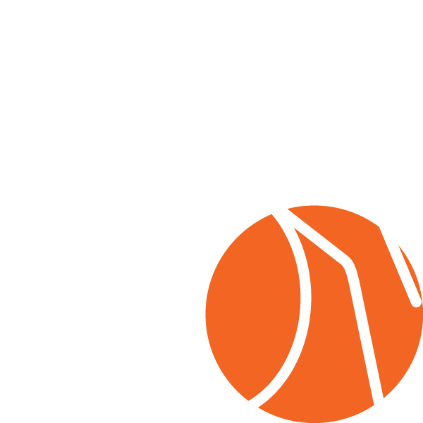 spiders-wh.png