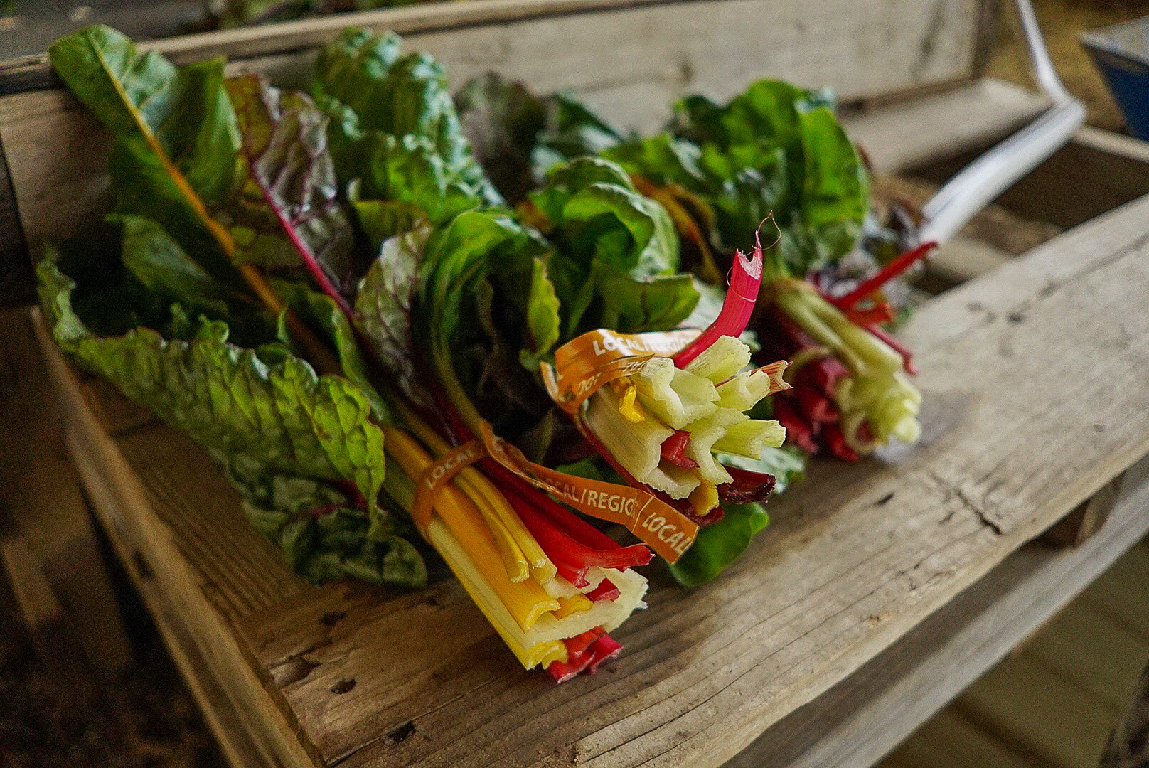Bundles of colorful rhubarb stalks with green and red leaves on a wooden surface. Photo © Rachelle Lerude – The Farm Photographer
